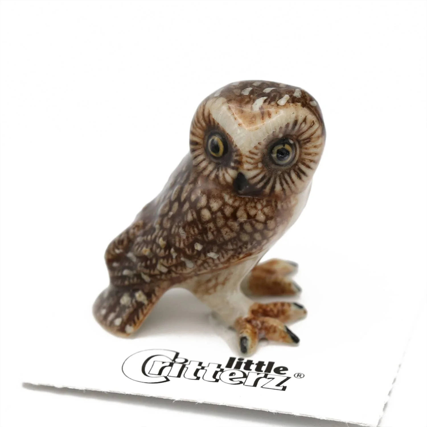 Little Critterz “Sawyer” Saw-whet Owl