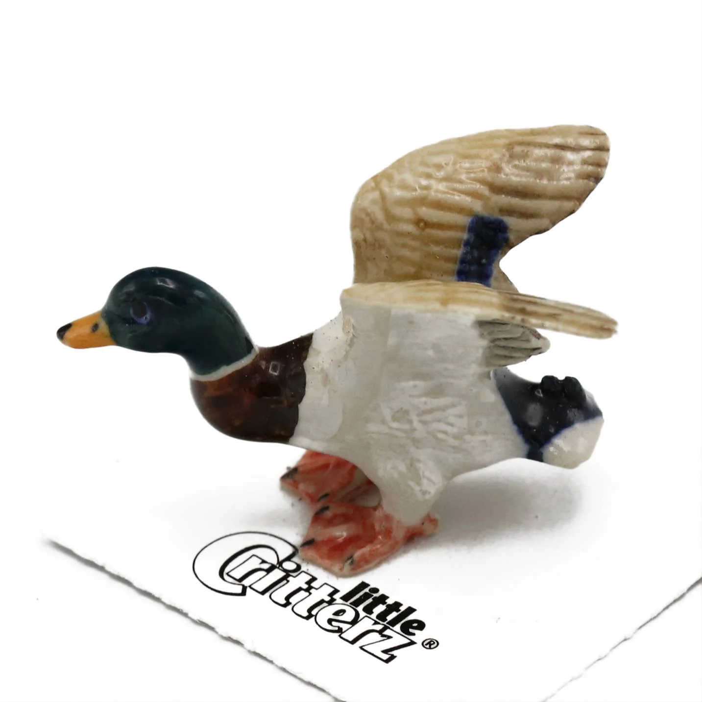 Little Critterz “Dabbler” Mallard Duck