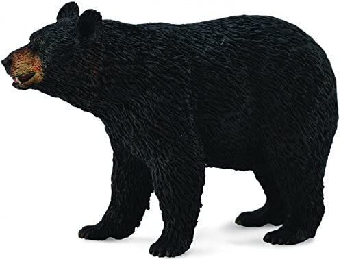 CollectA American Black Bear Toy Figure