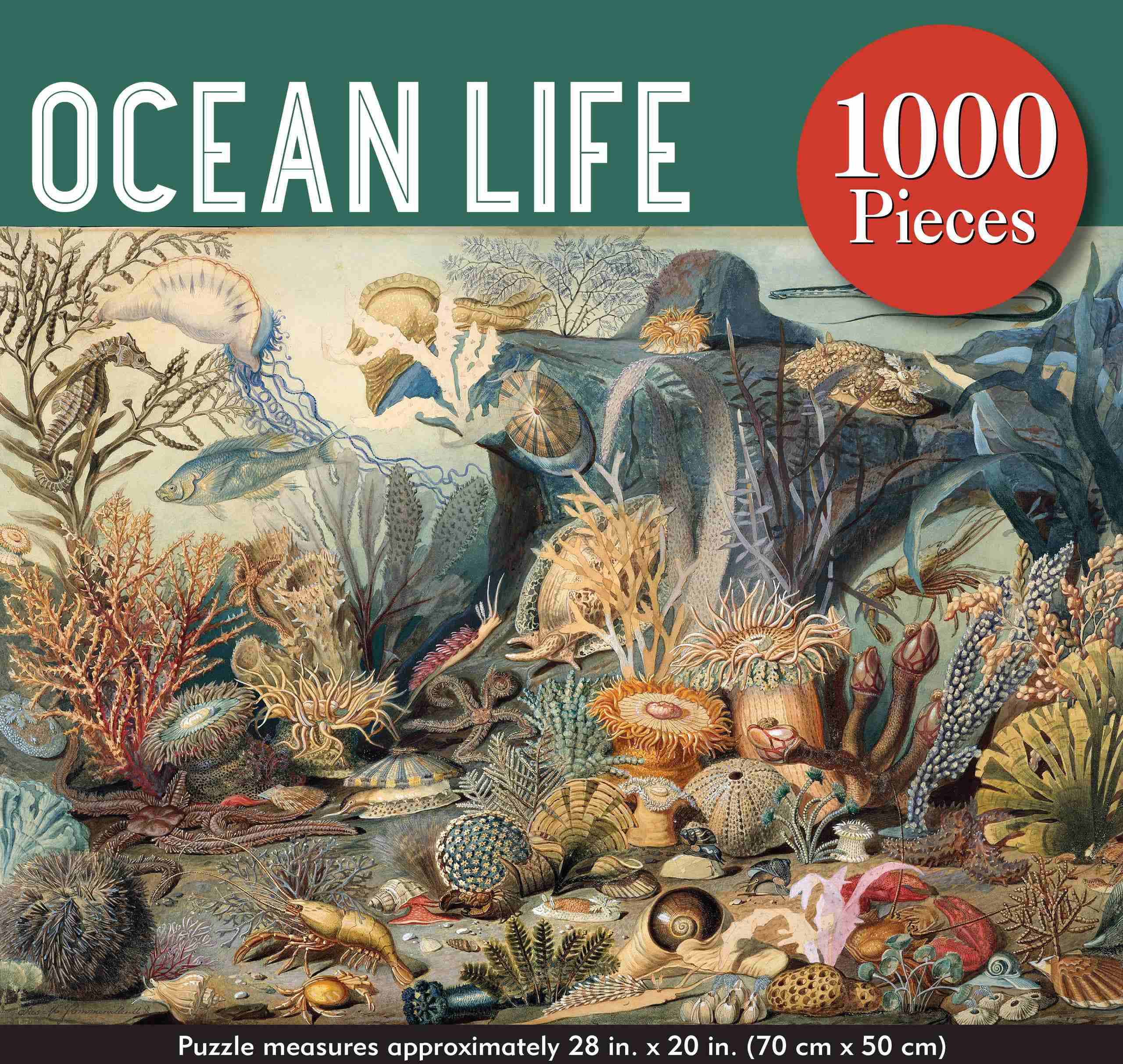 Peter Pauper Press – Ocean Life Jigsaw Puzzle
