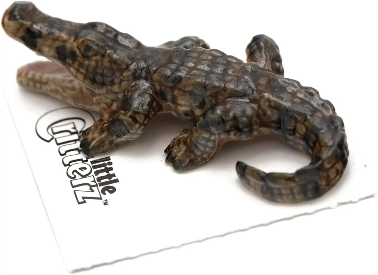 Little Critterz “Mississippi” American Alligator