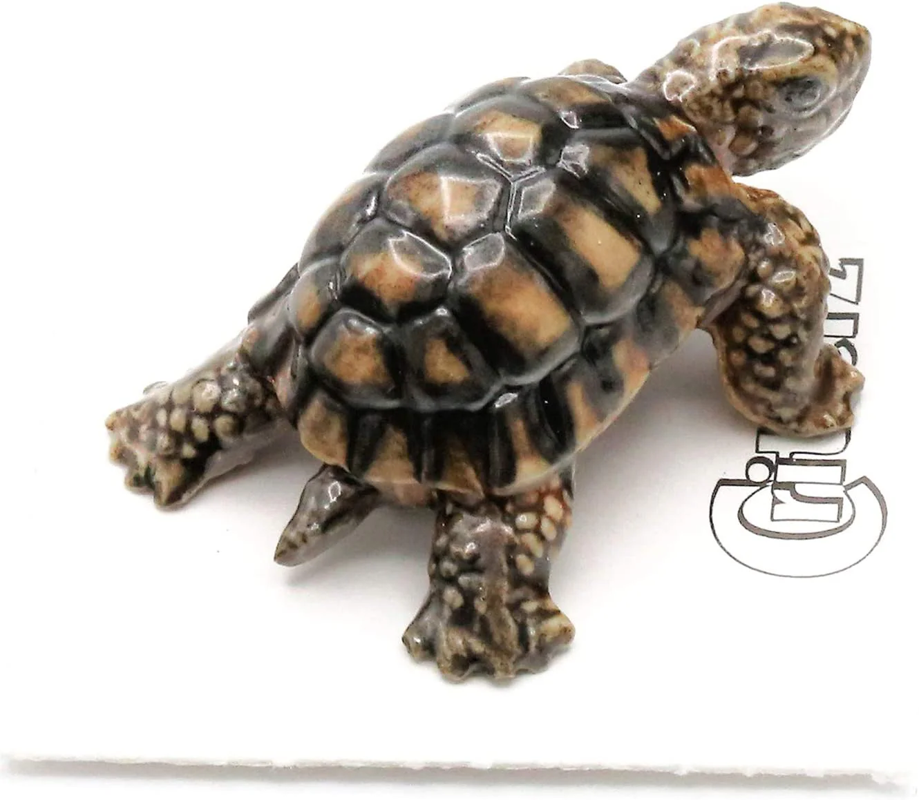 Little Critterz “Joshua” Desert Tortoise Porcelain Figurine