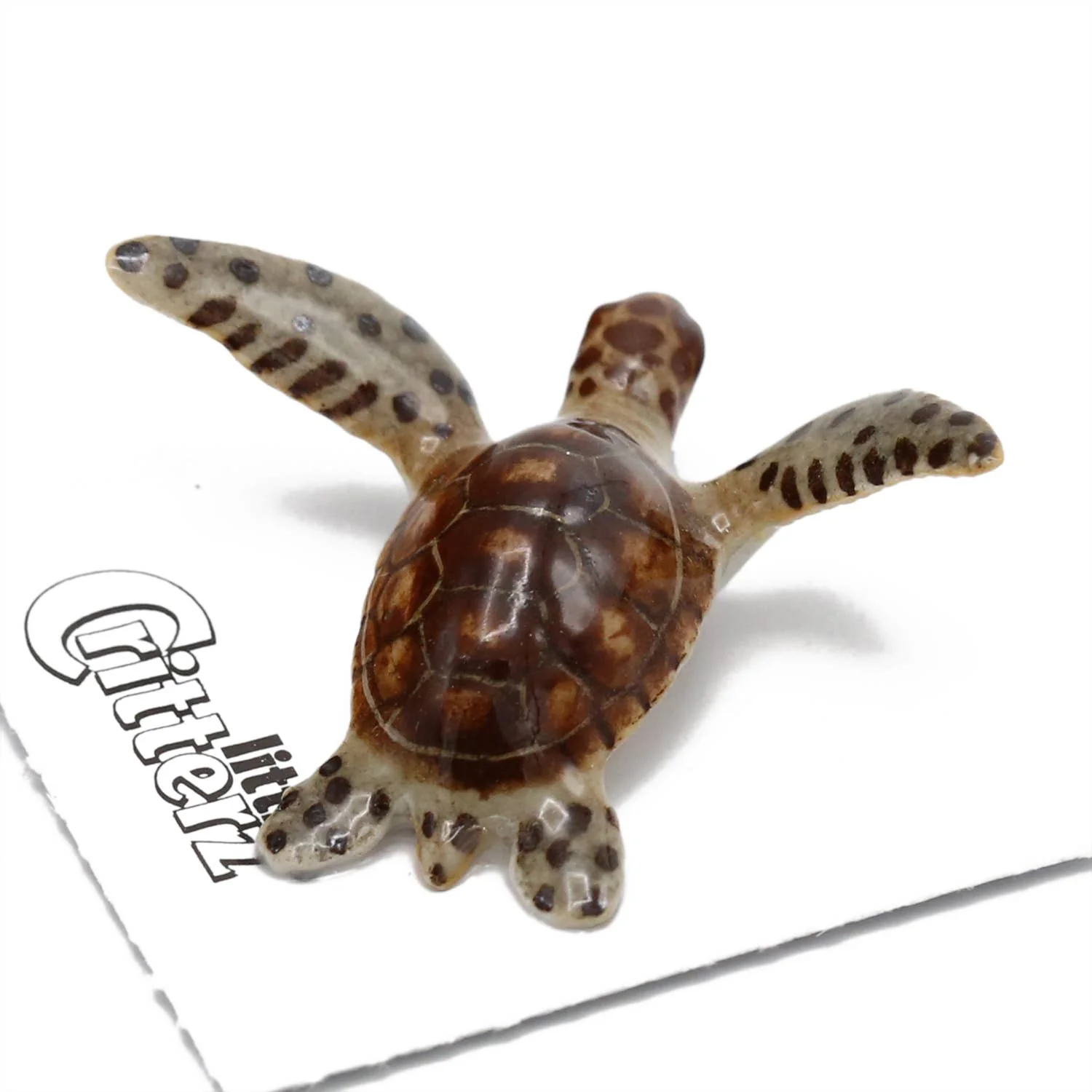 Little Critterz “Tortuga” Green Sea Turtle