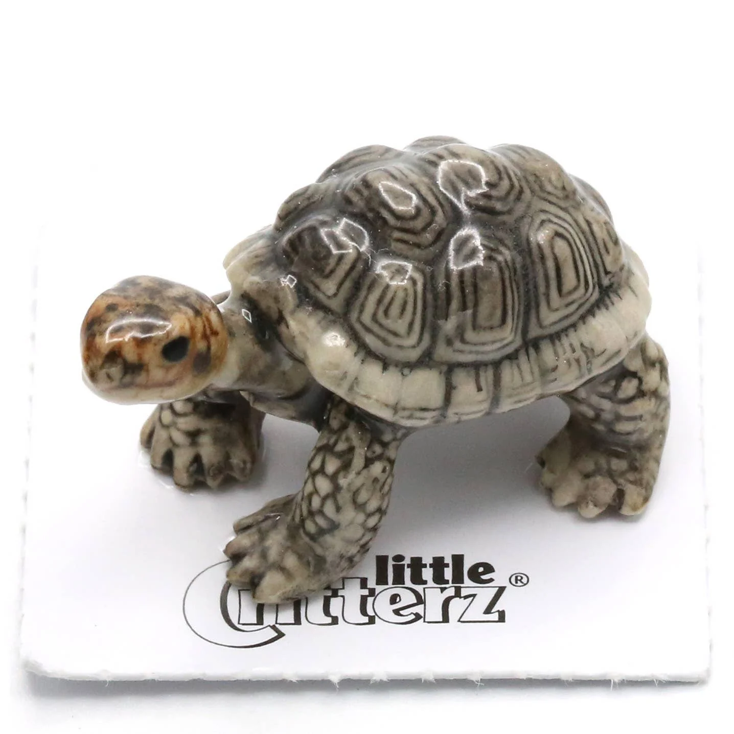 Little Critterz “Darwin” Galapagos Tortoise Porcelain Figurine