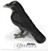 Little Critterz “Trickster” Raven Porcelain Figurine