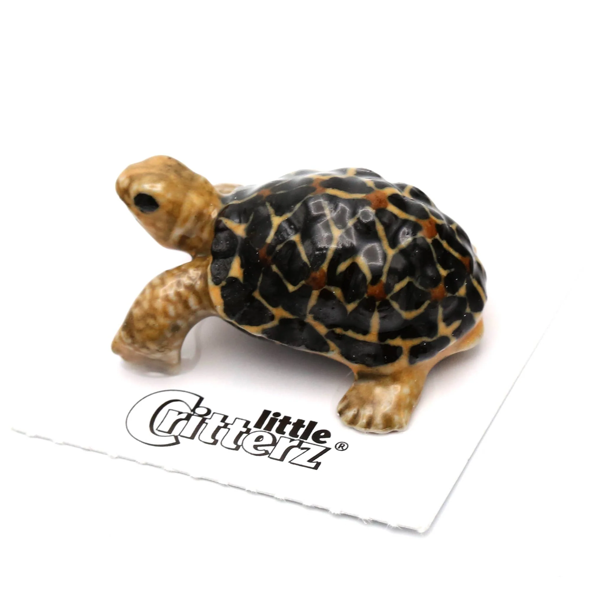 Little Critterz “Star” Tortoise Porcelain Figurine
