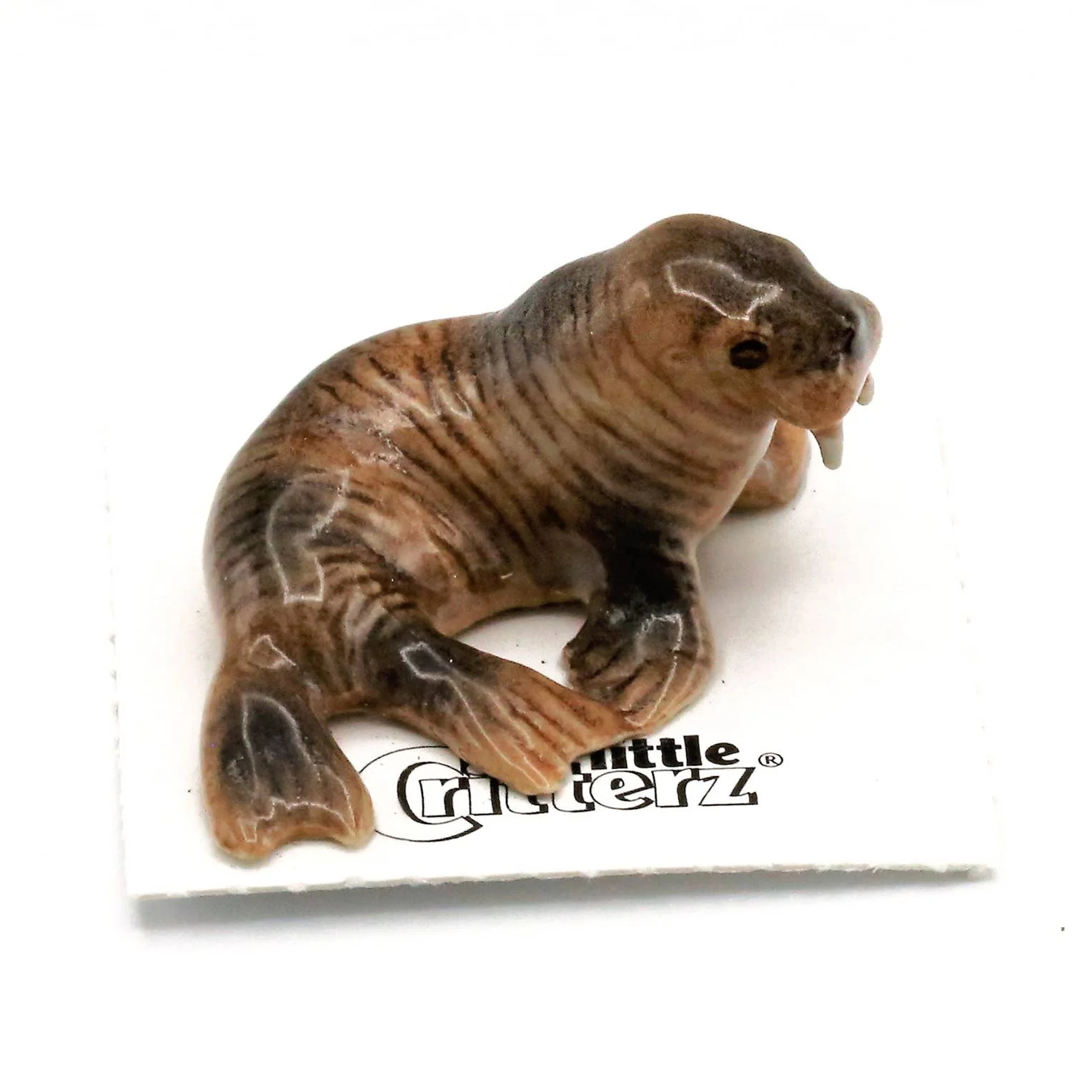 Little Critterz – Tusker Walrus Porcelain Miniature