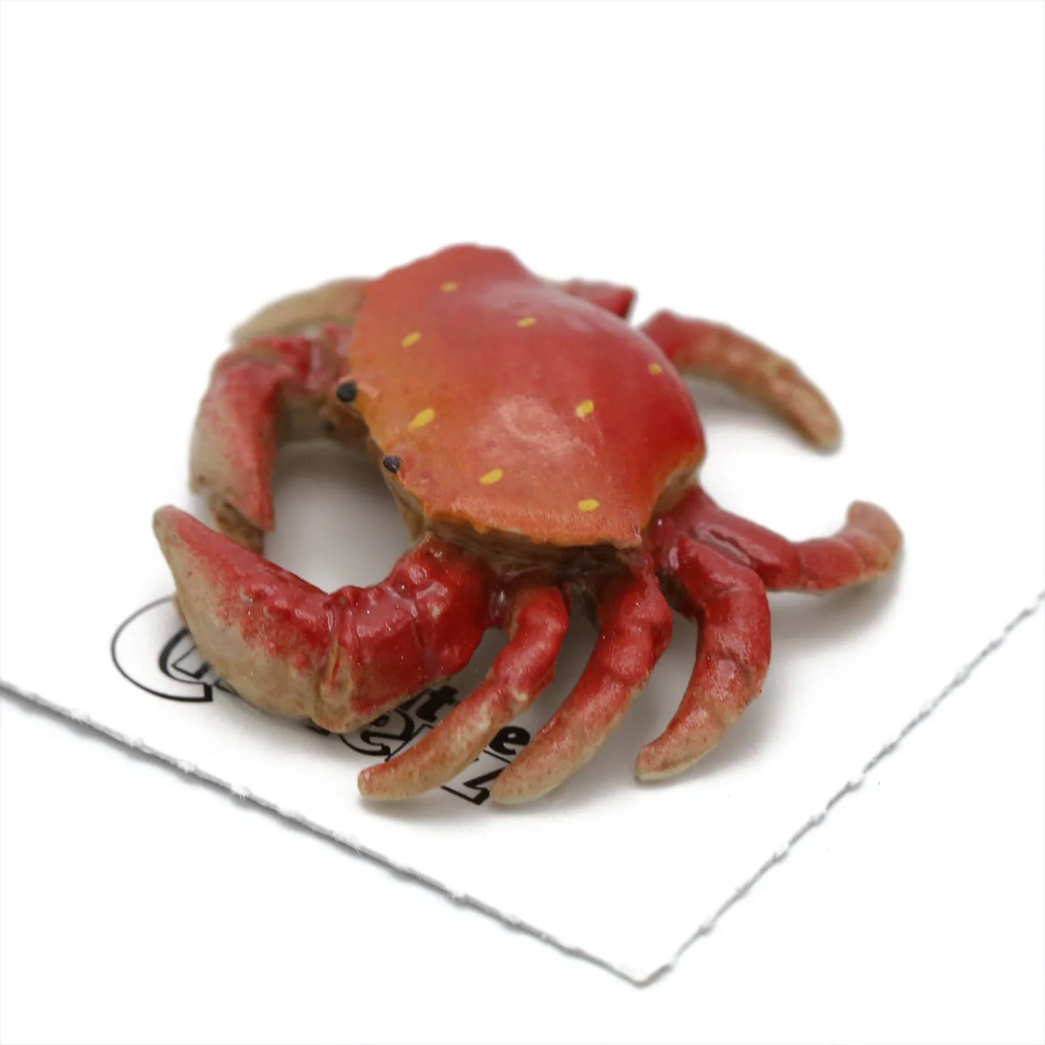 Little Critterz “Angeles” Dungeness Crab