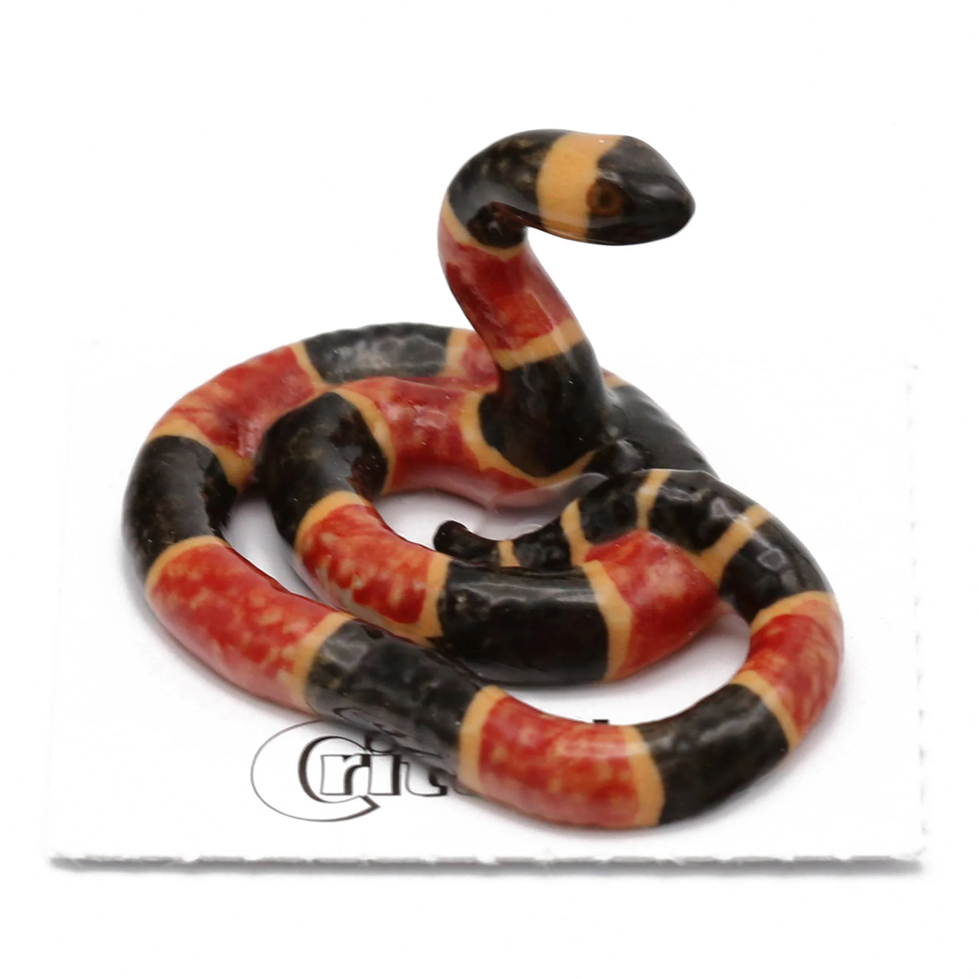 Little Critterz “Rhyme” Coral Snake