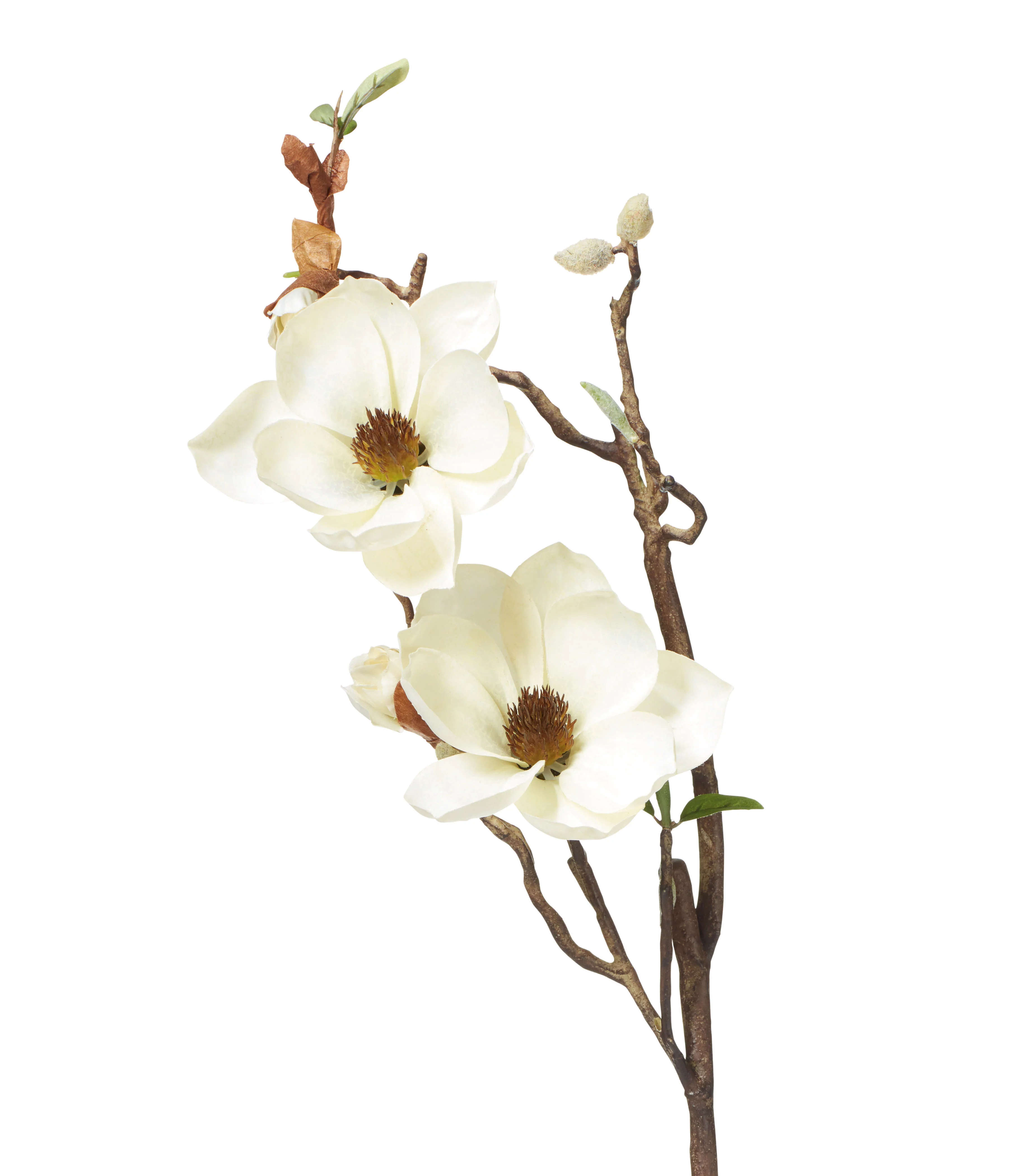 Faux Magnolia Branch – Cream