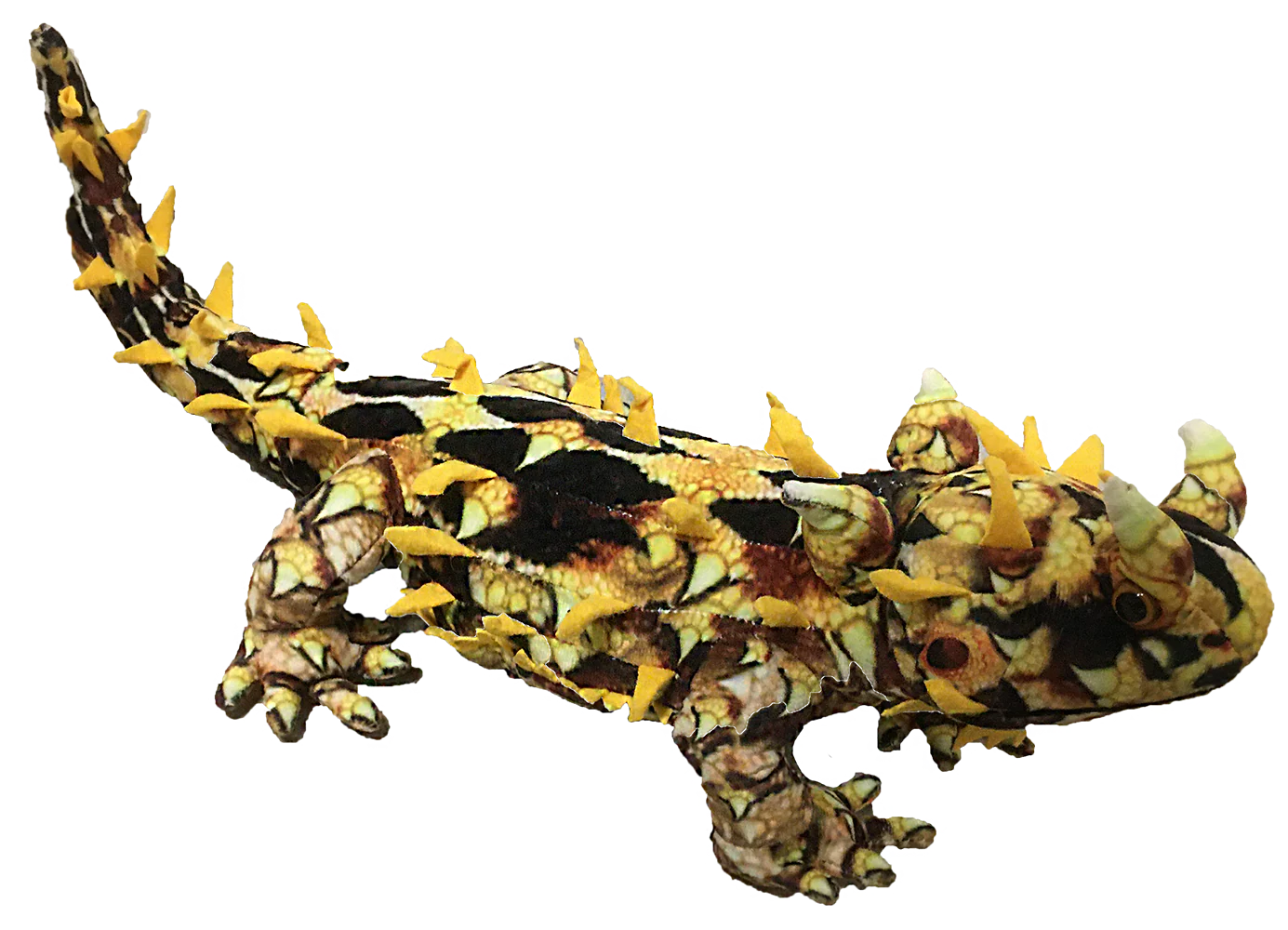 Texas Toy Distribution – Horned Lizard 21.65″ Plush Stuffed Animal
