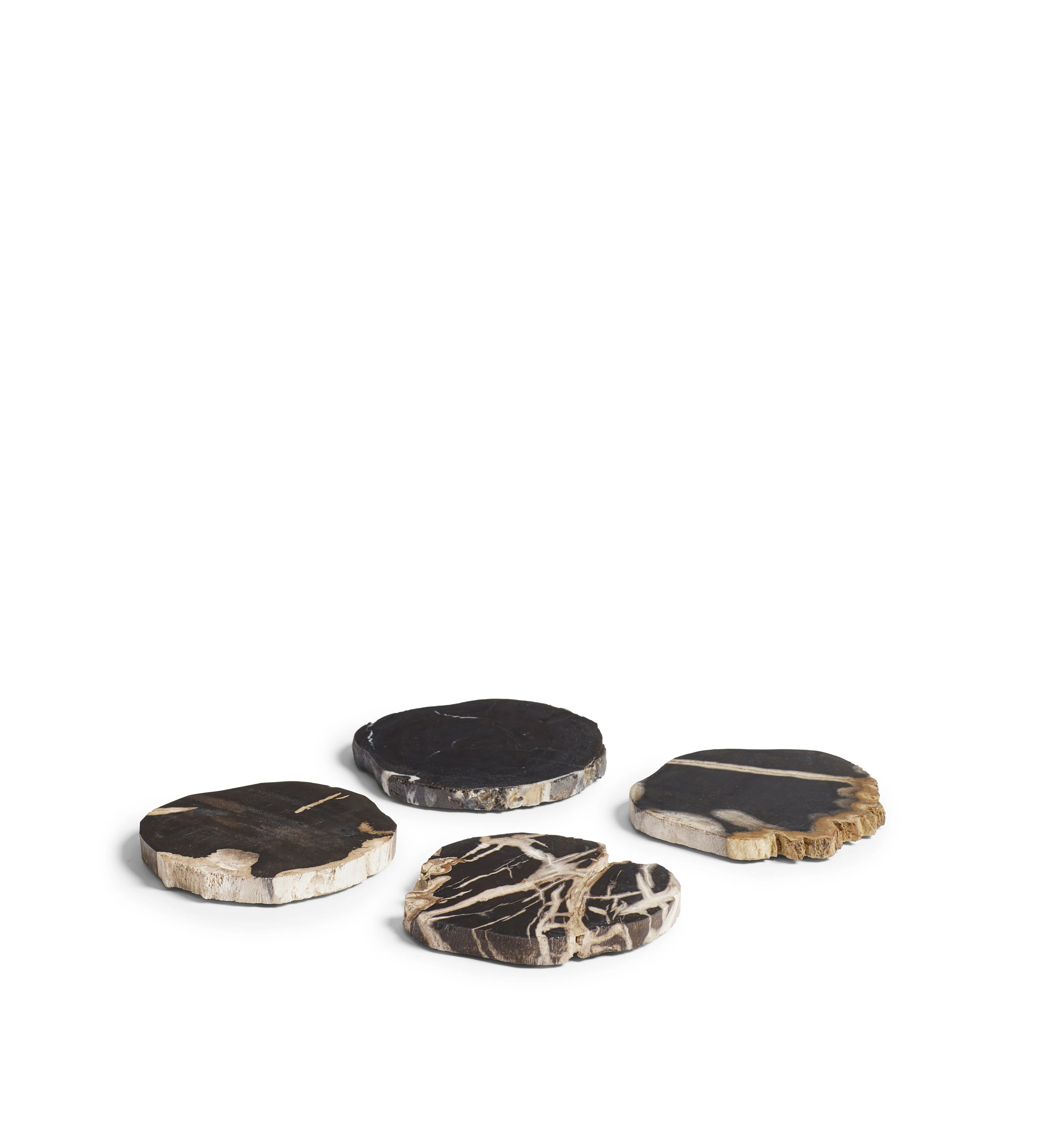 Amaya Petrified Wood Coasters – Set of Four – Natural