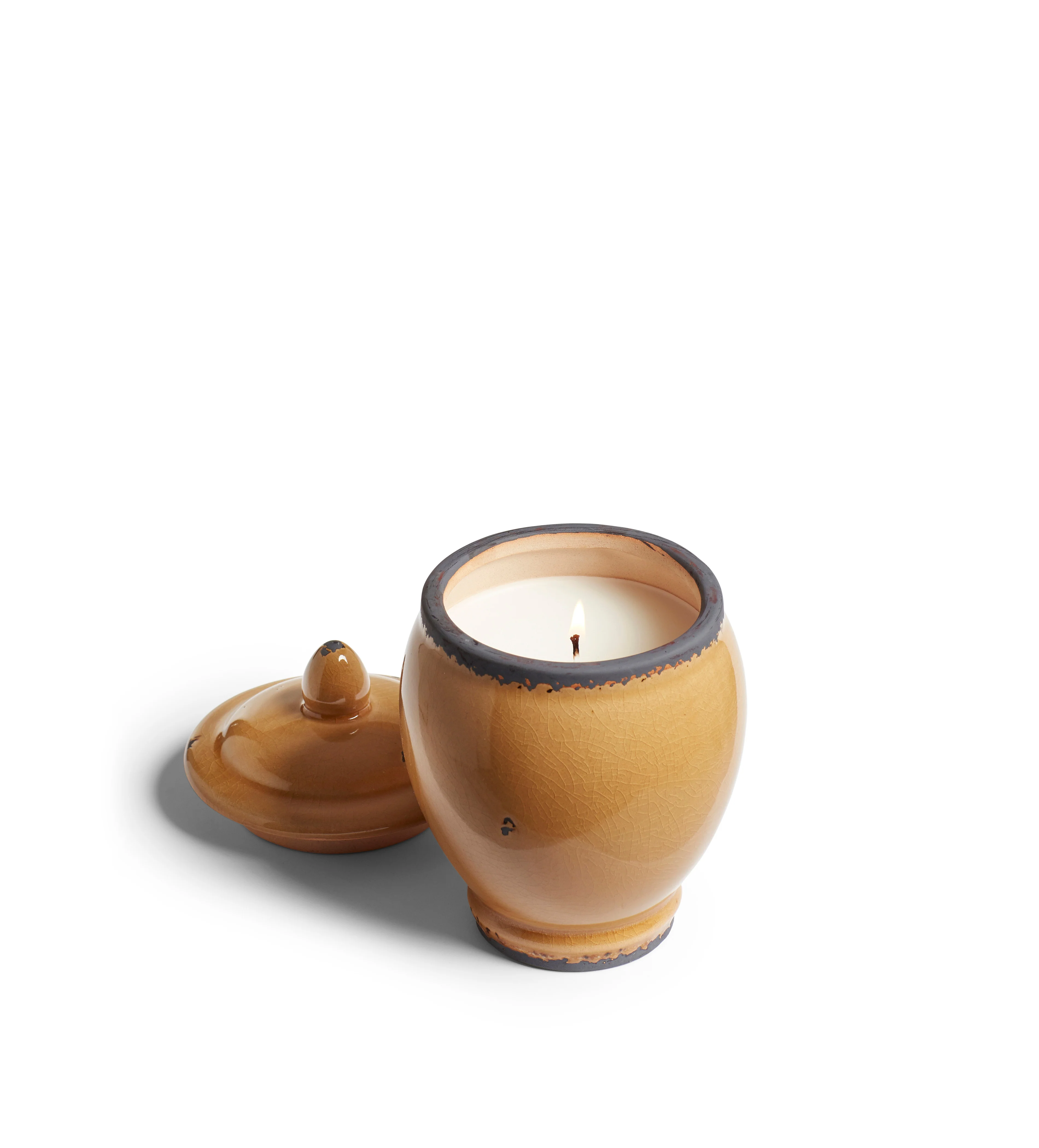 Cardamom Hills Candle 365g – The Odyssey Collection – Mustard