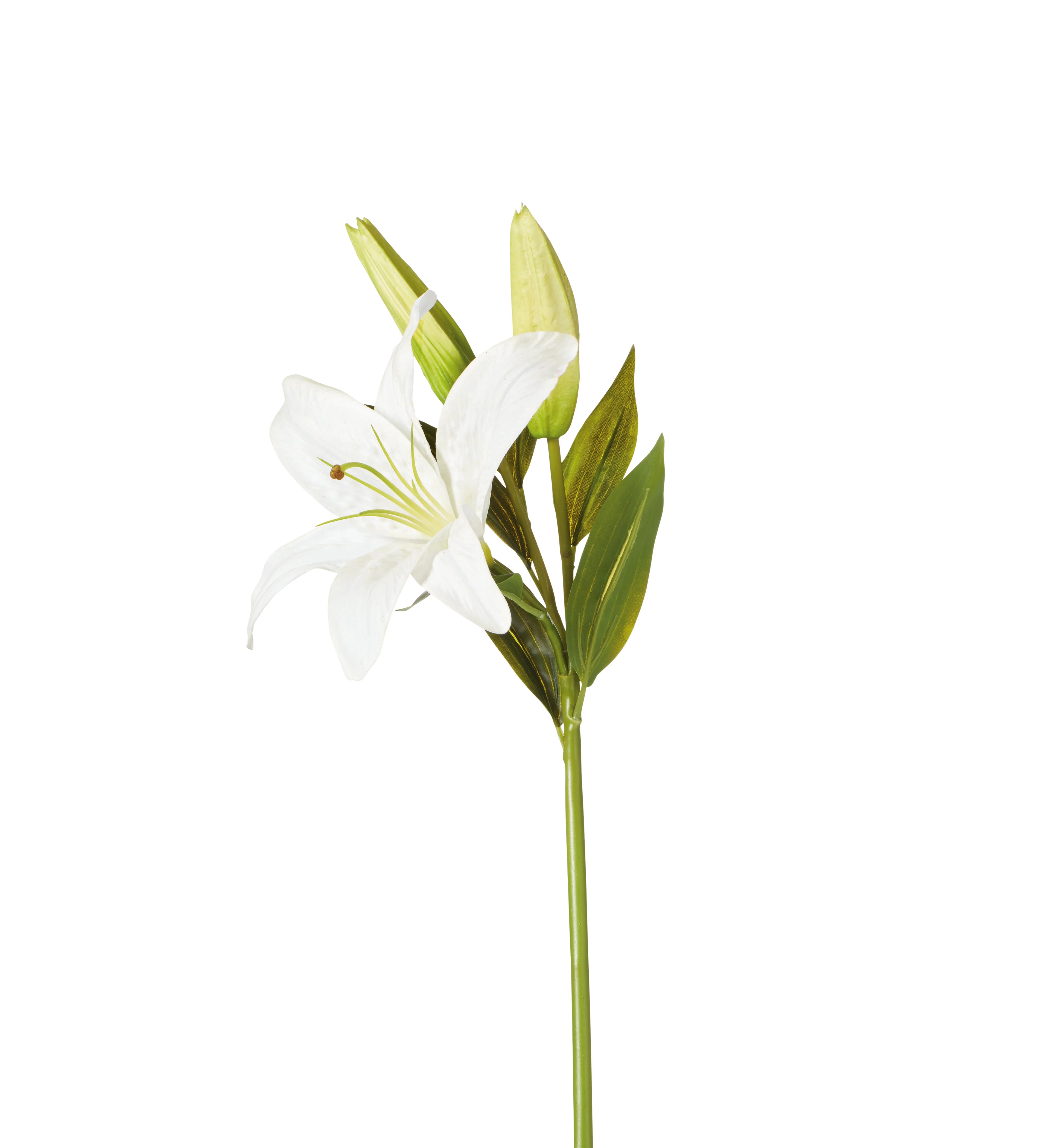 Faux Casablanca Lily Stem – White