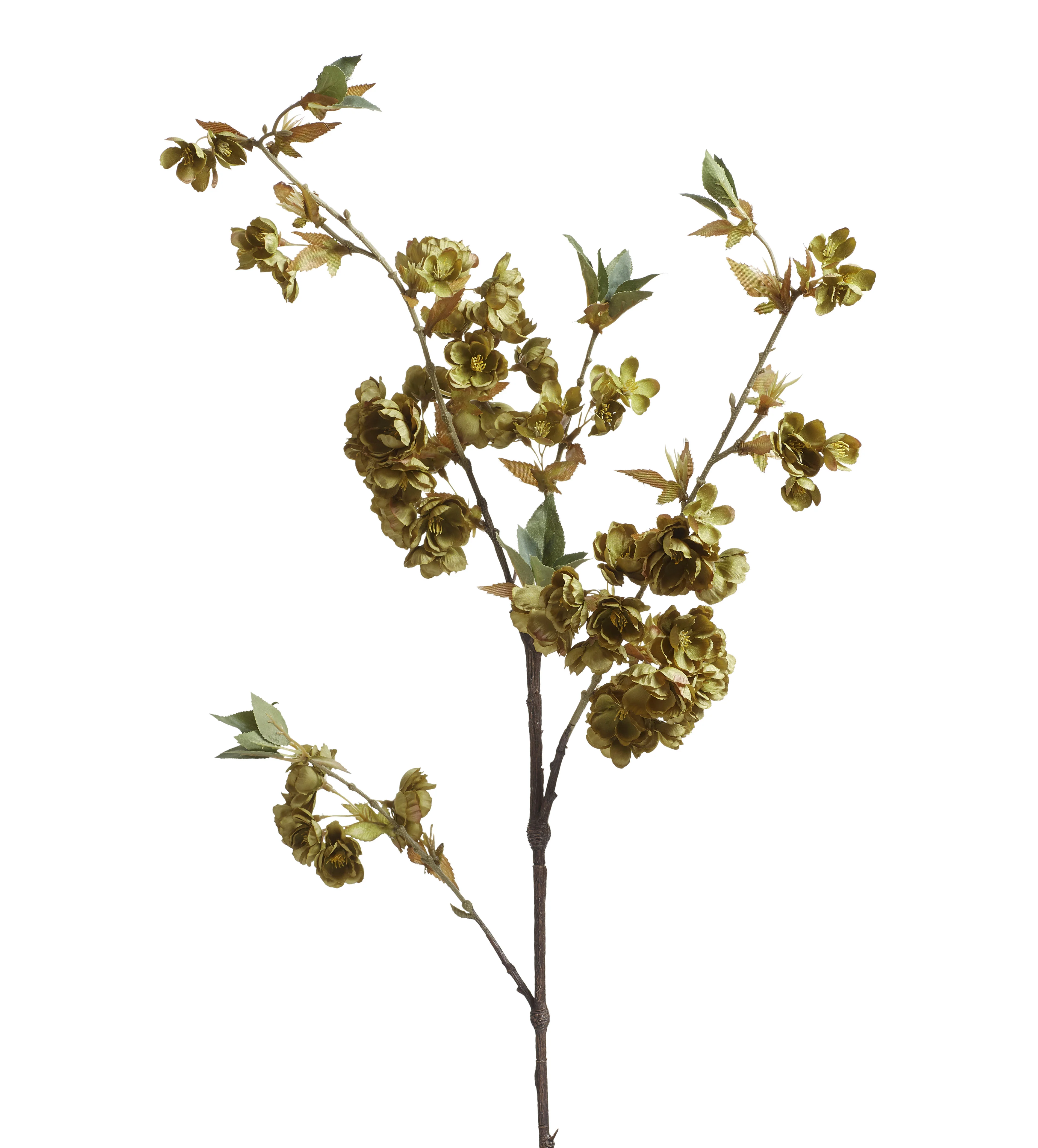 Cherry Blossom Stem – Green
