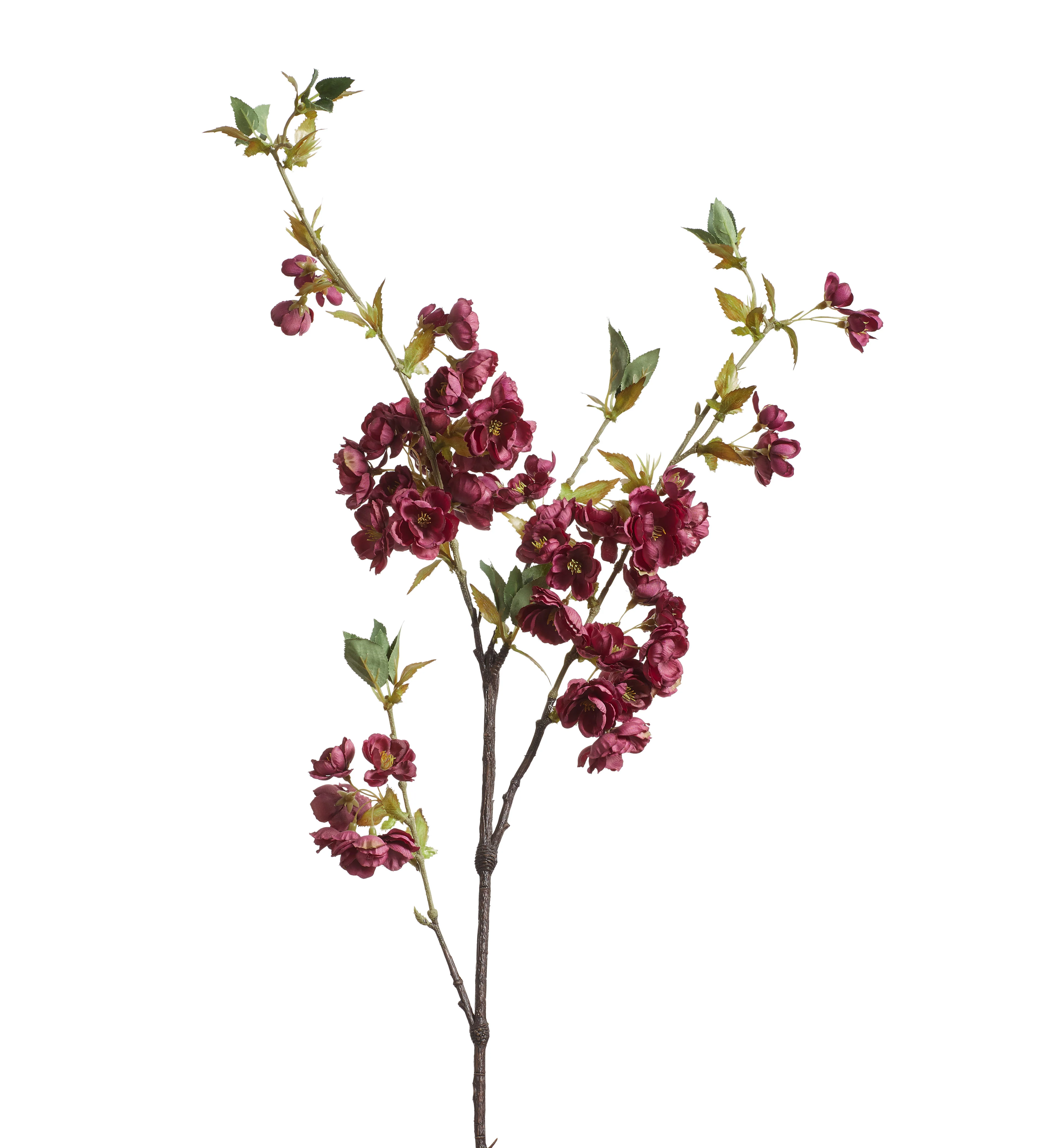 Cherry Blossom Stem – Purple