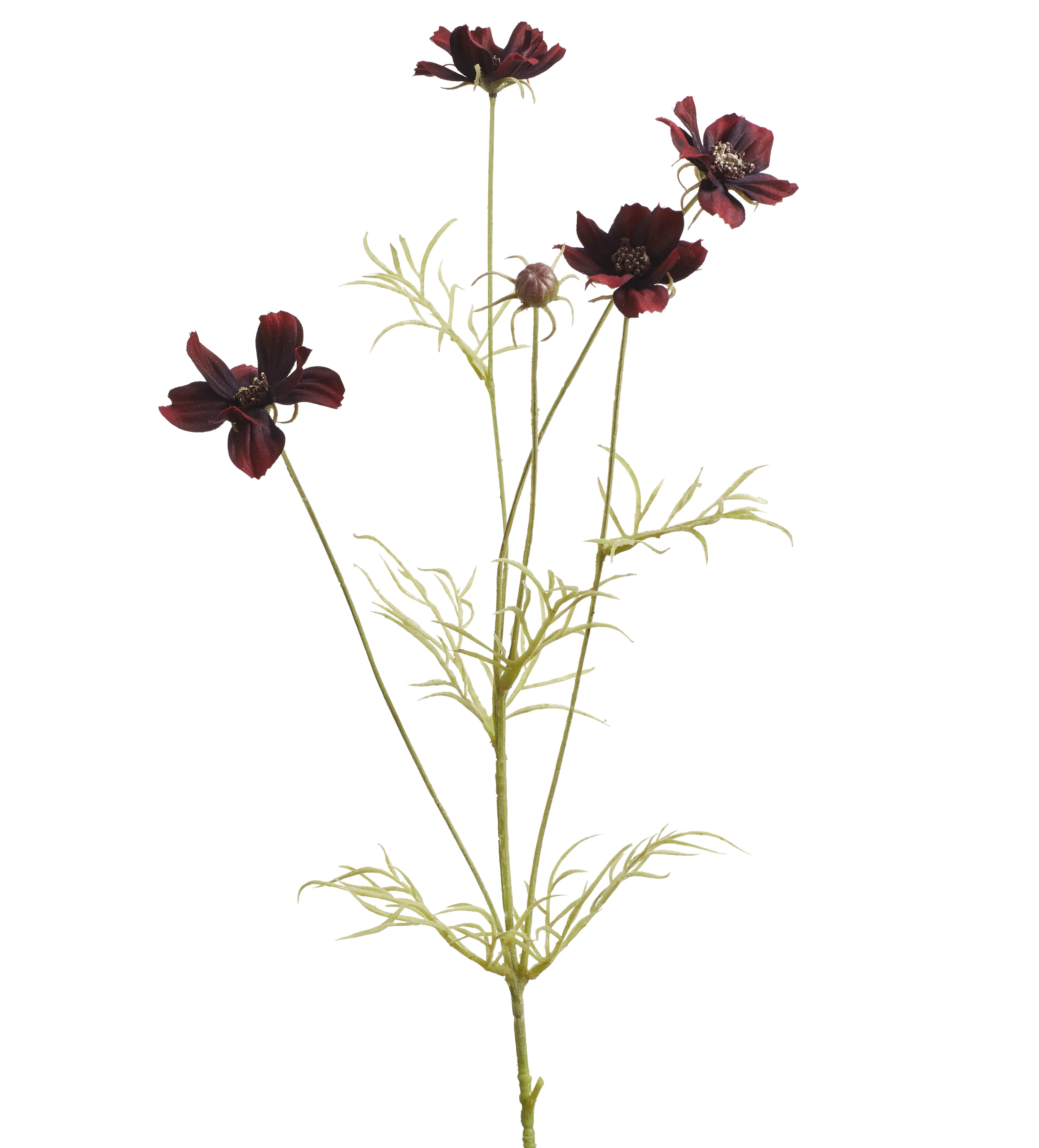 Faux Cosmos Stem – Burgundy