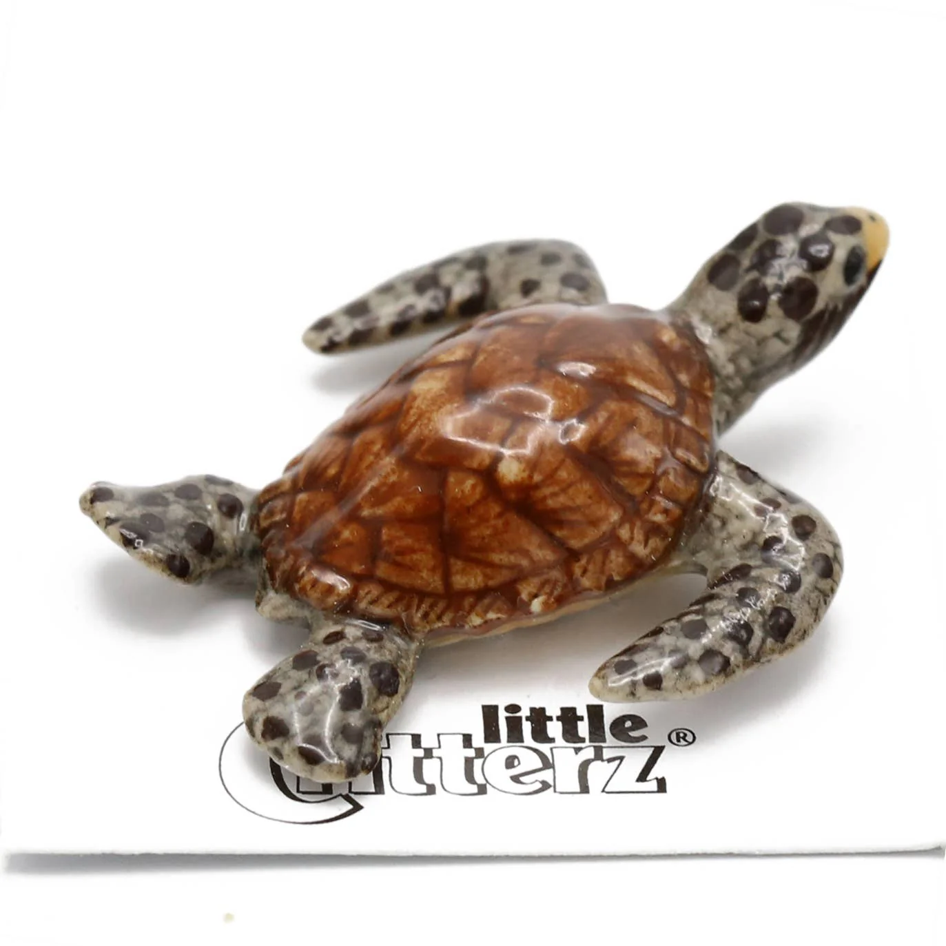 Little Critterz “Lagoon” Sea Turtle