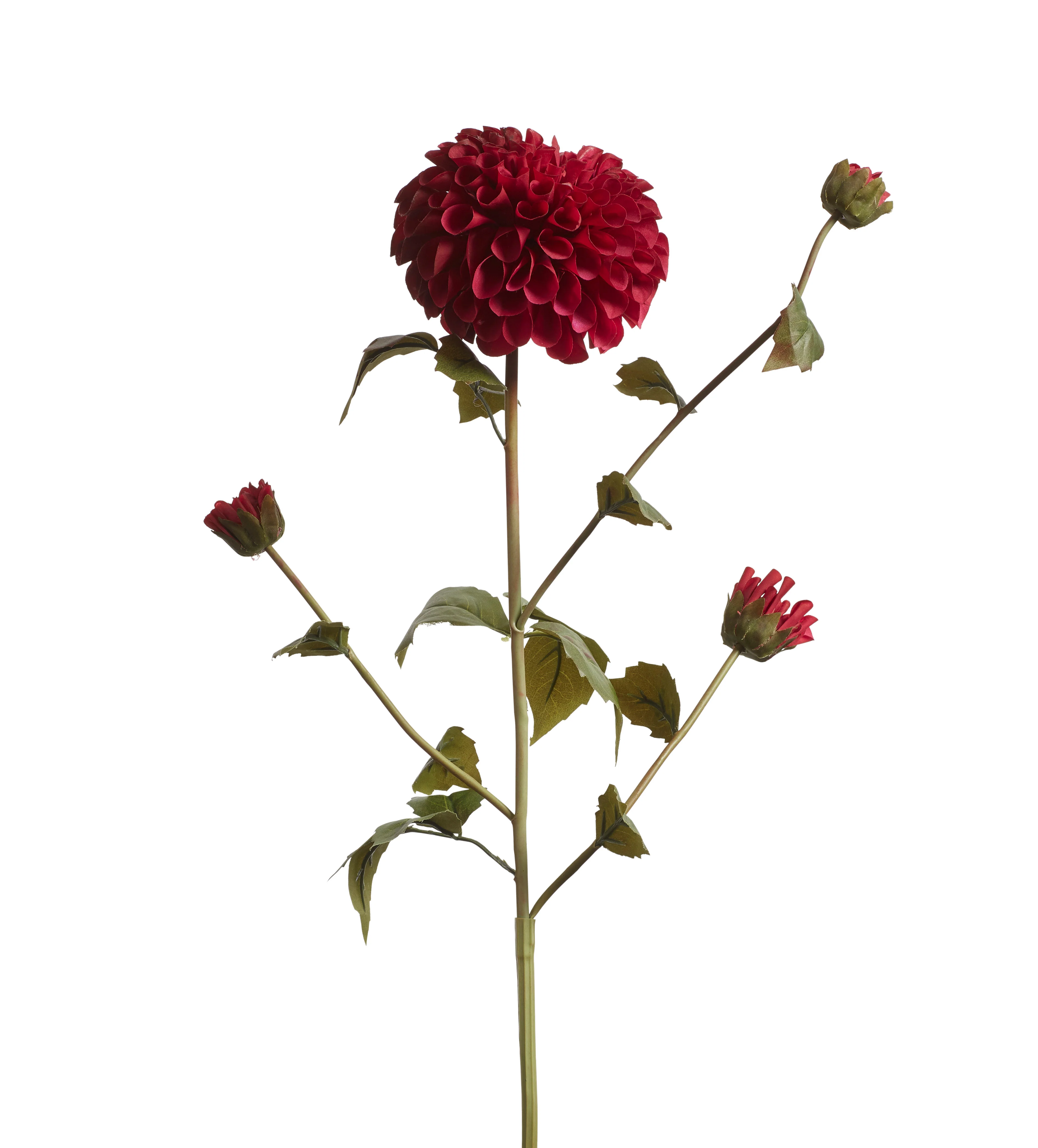 Dahlia Stem – Dark Pink