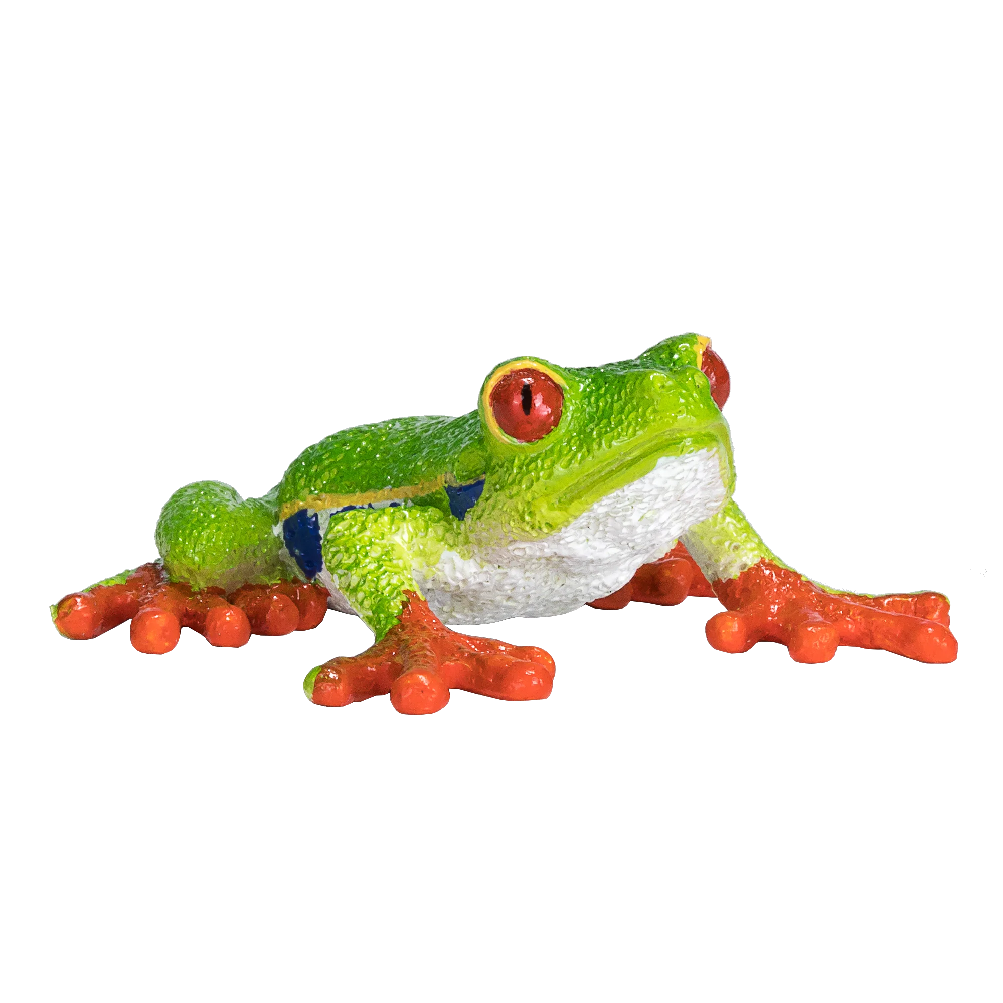 Mojo Red-Eyed Tree Frog
