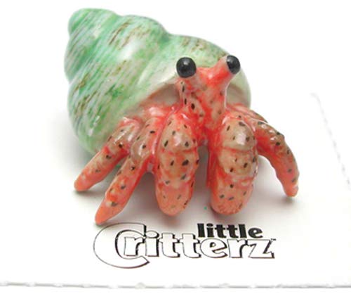 Little Critterz “Hermit” Crab