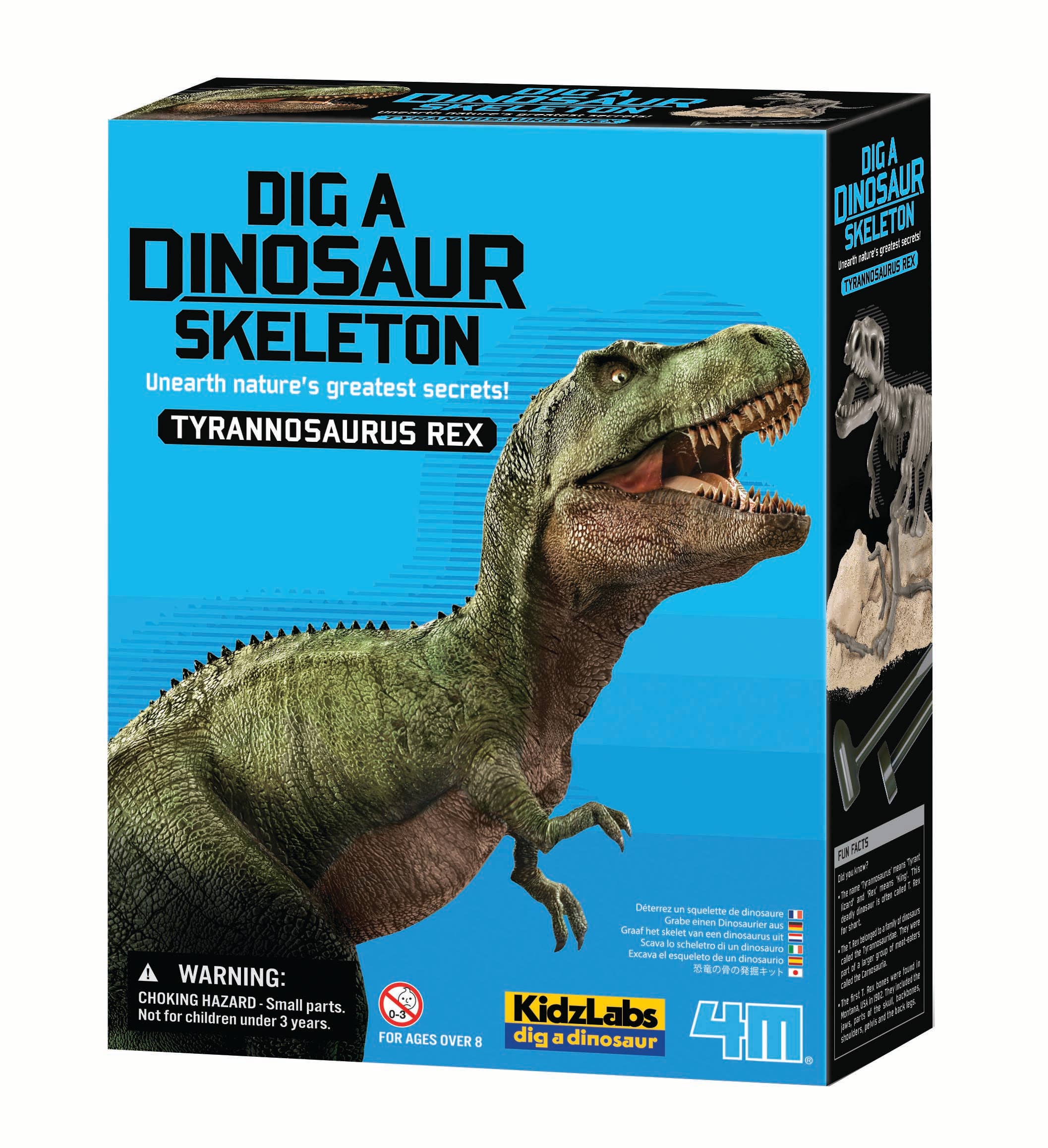 Toysmith – 4M Dig-A-Dino T-Rex STEM Science Kit