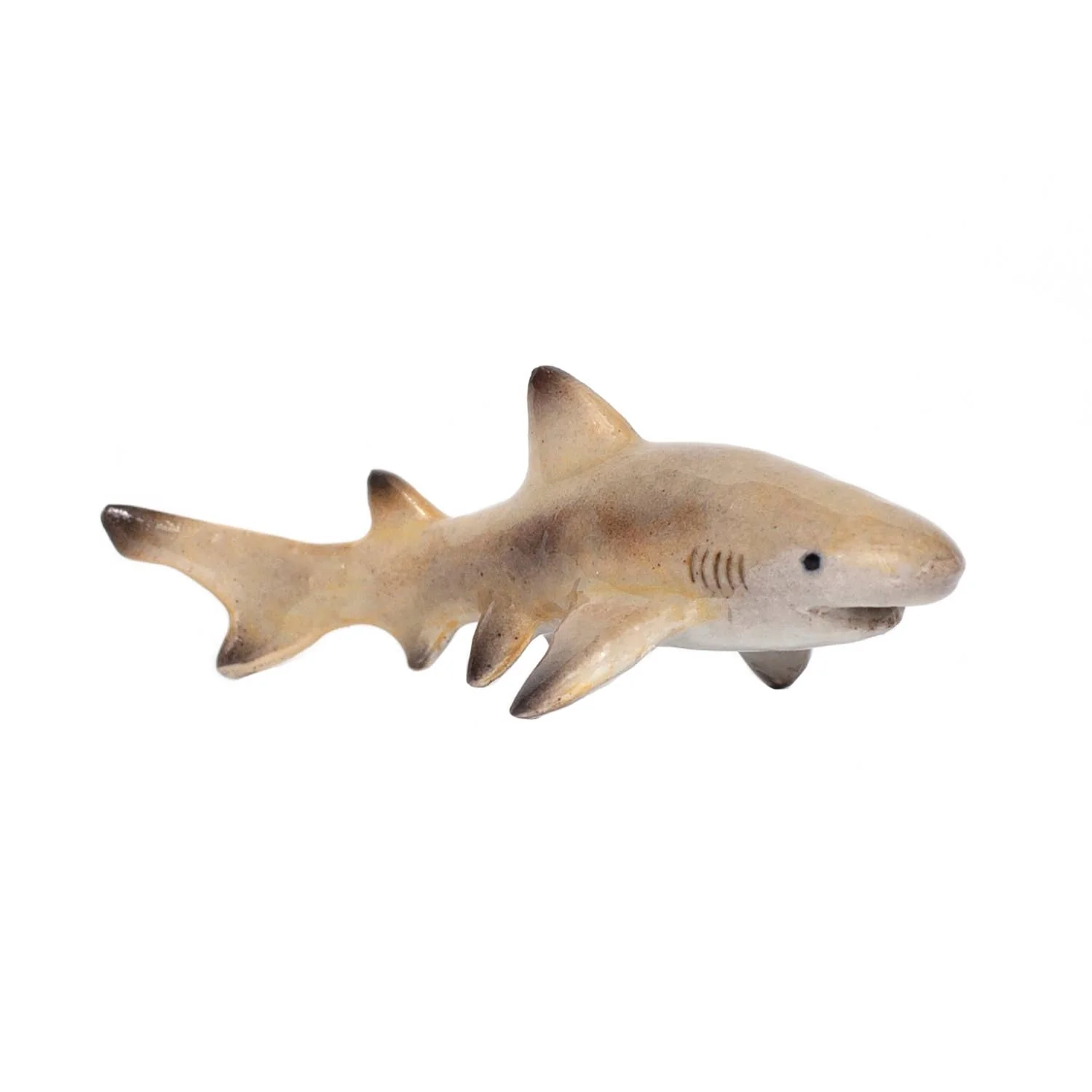 Blondie Lemon Shark