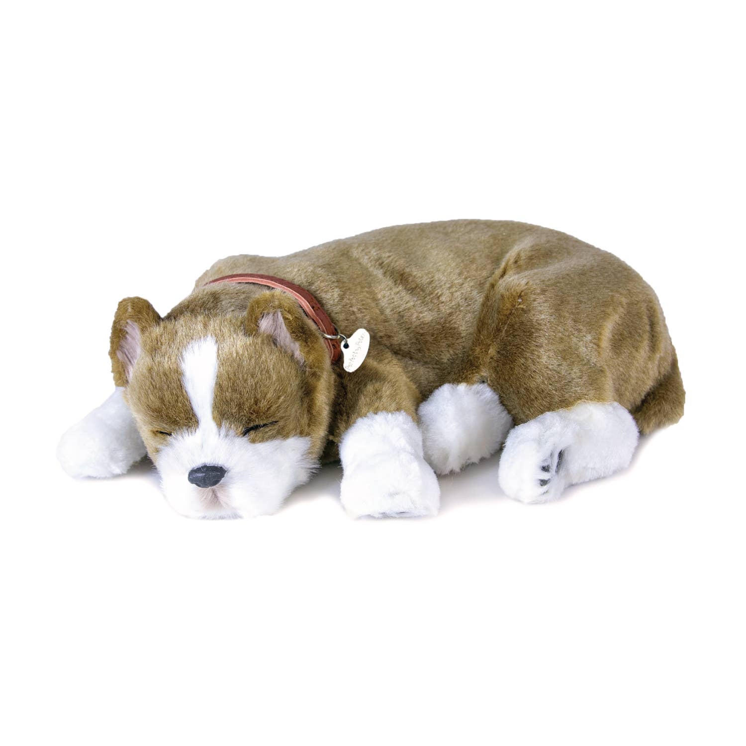 Perfect Petzzz – 17Original – Pit Bull