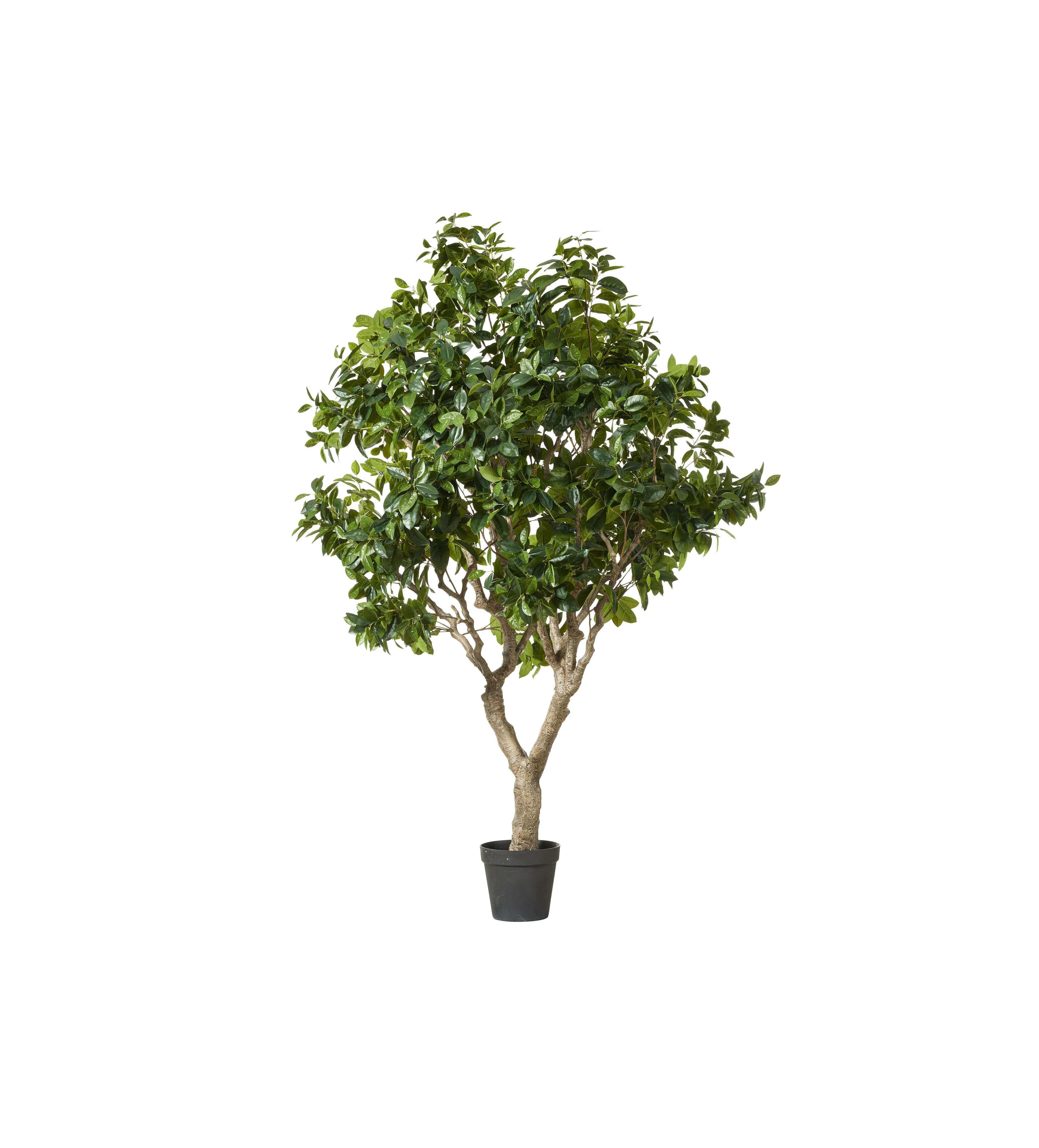 Faux Fiddle Tree – Extra Large – Green