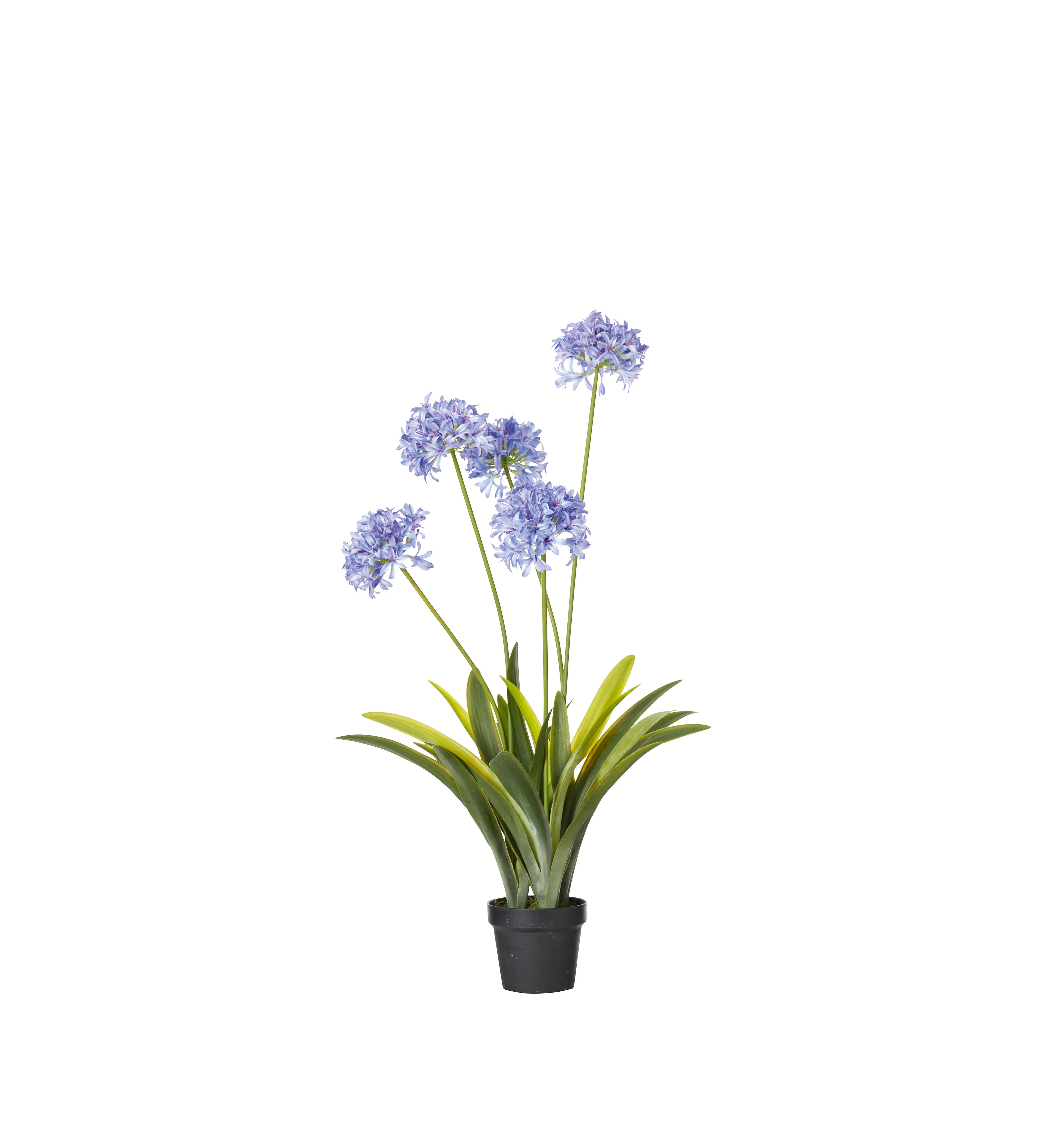 Faux Agapanthus Plant – Purple