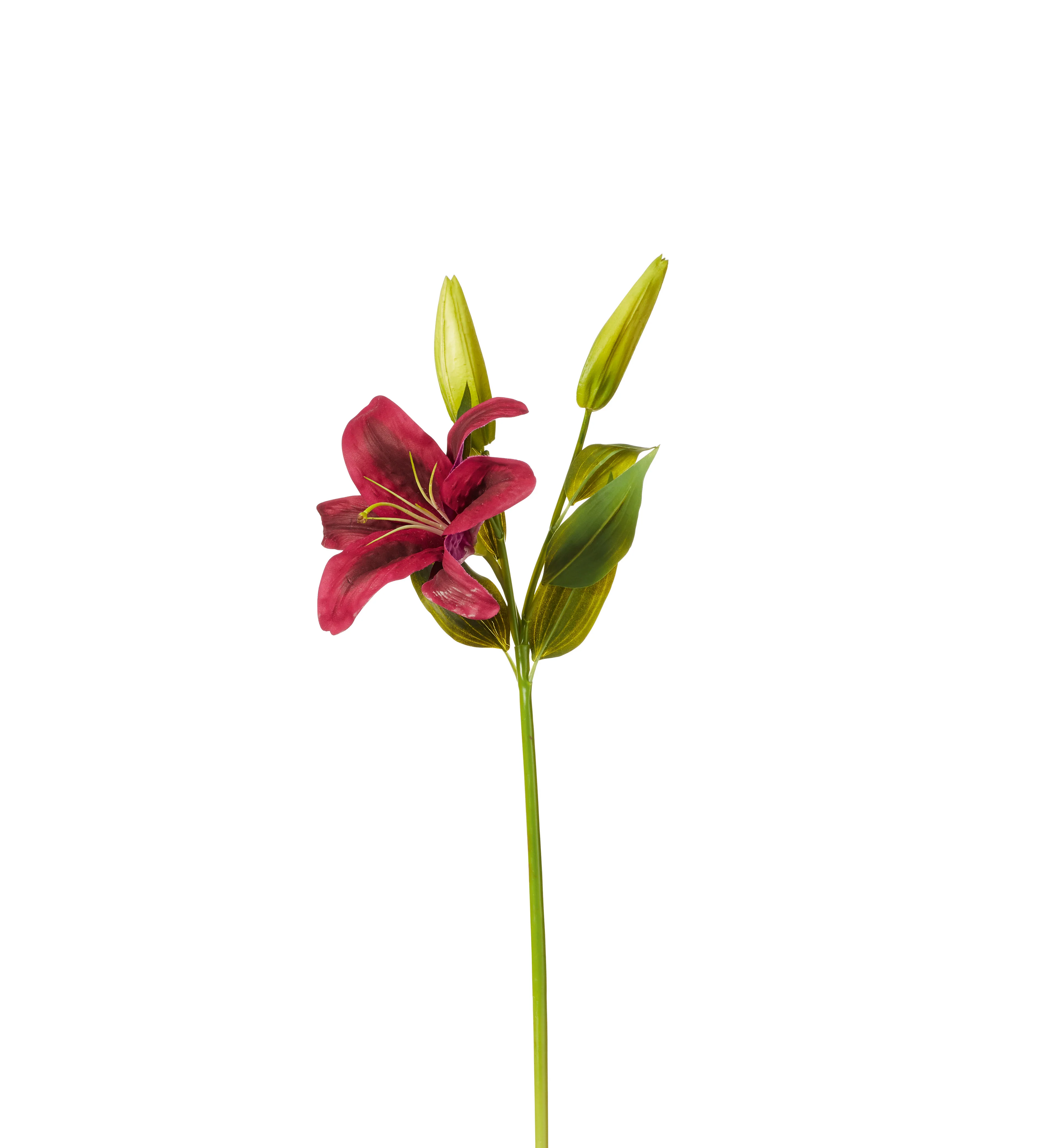 Faux Burgundy Lily Stem – Dark Purple