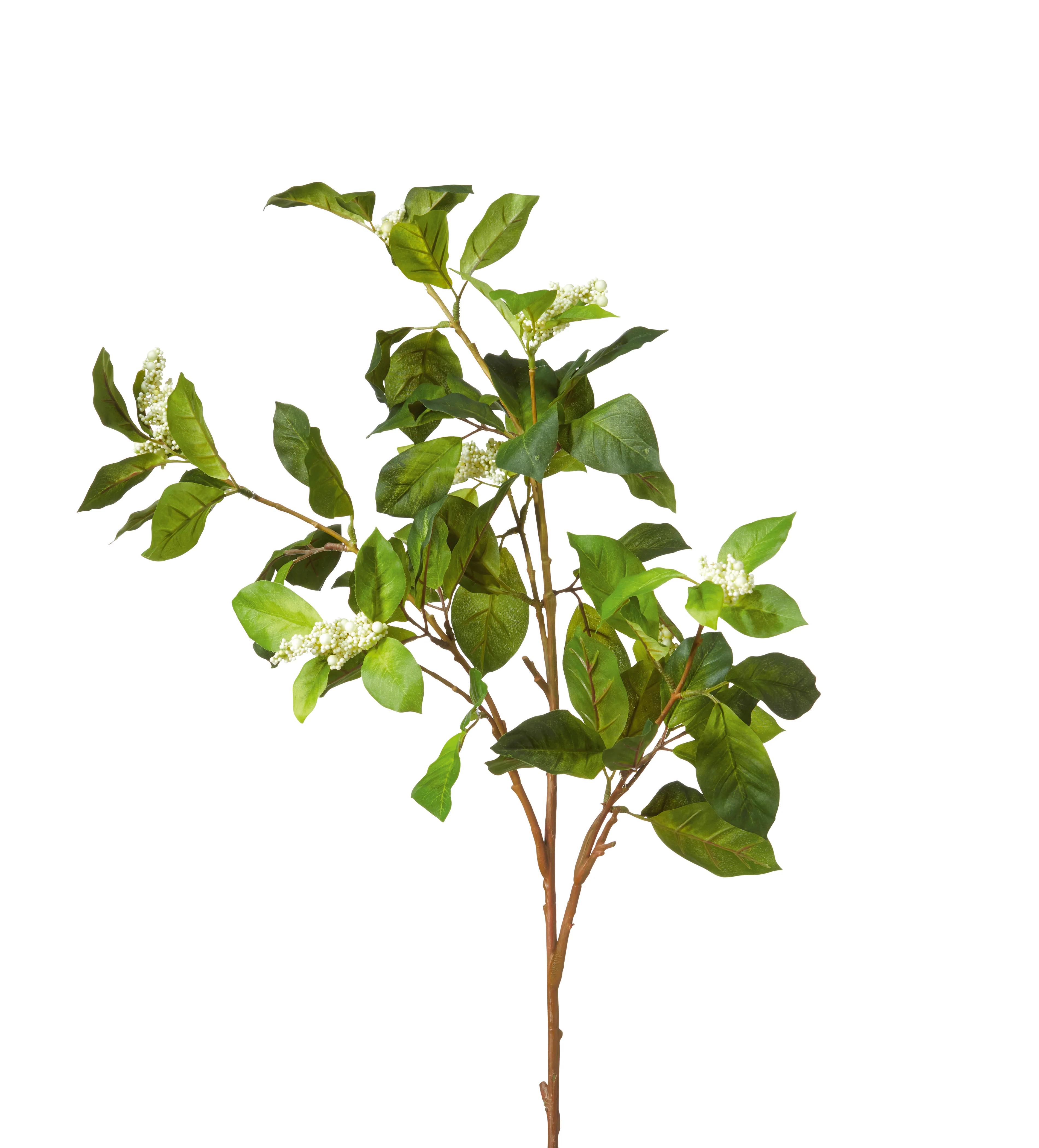Faux Camellia and Berry Branch – Green