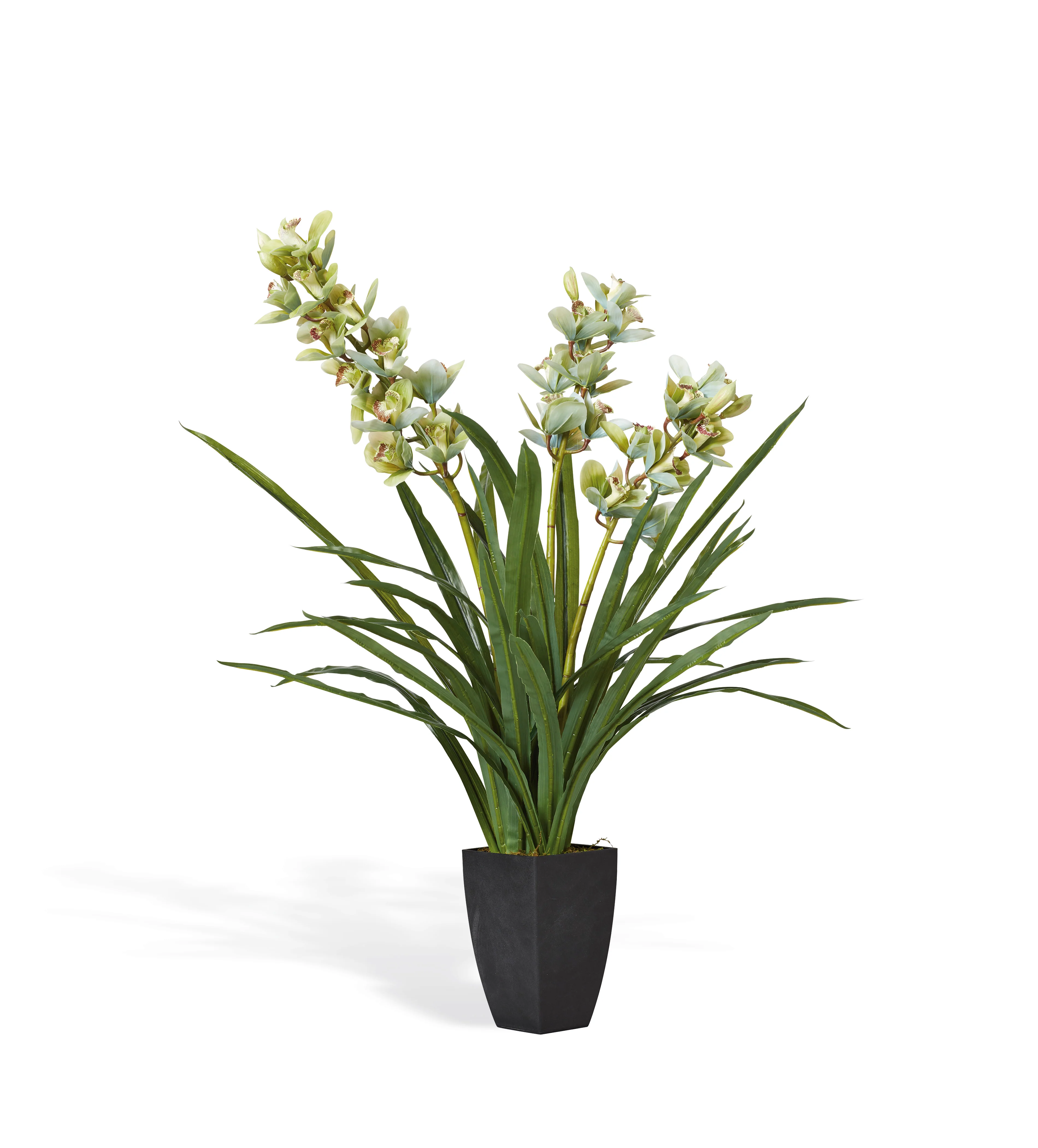 Faux Cymbidium Orchid with Narrow Vase – Green