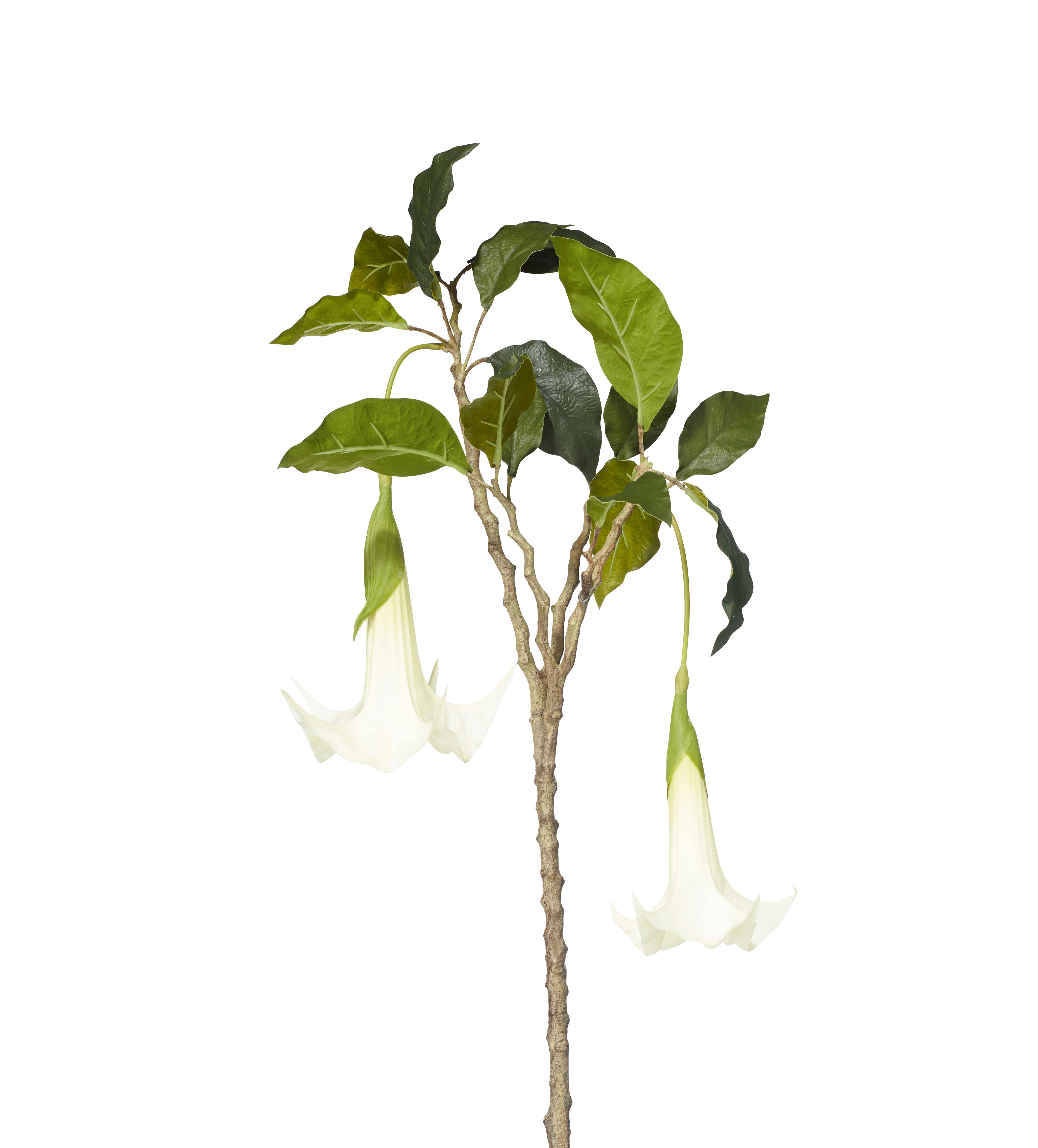 Faux Datura Branch – Cream