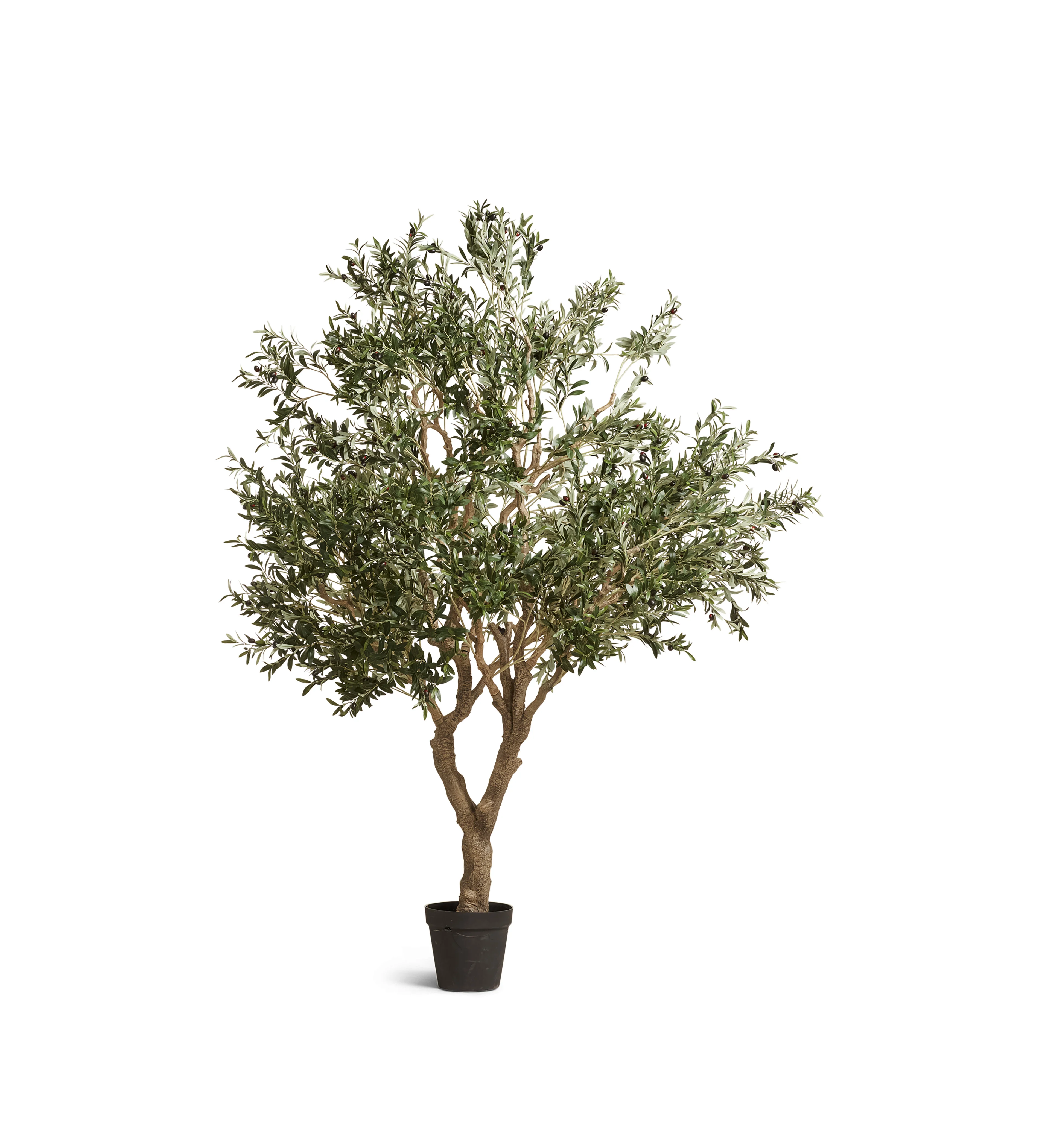 Faux Potted Olive Tree – Extra Large – Black