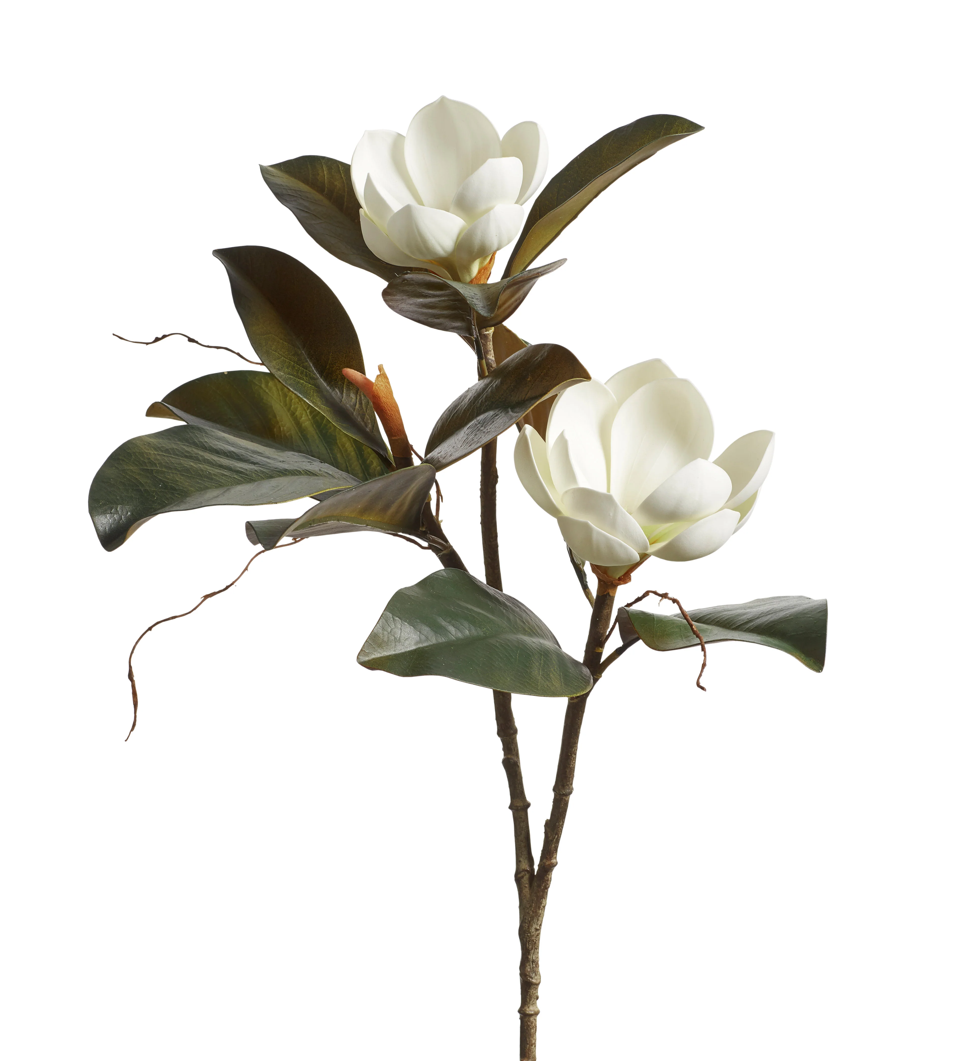 Faux Magnolia Grandiflora Branch – White
