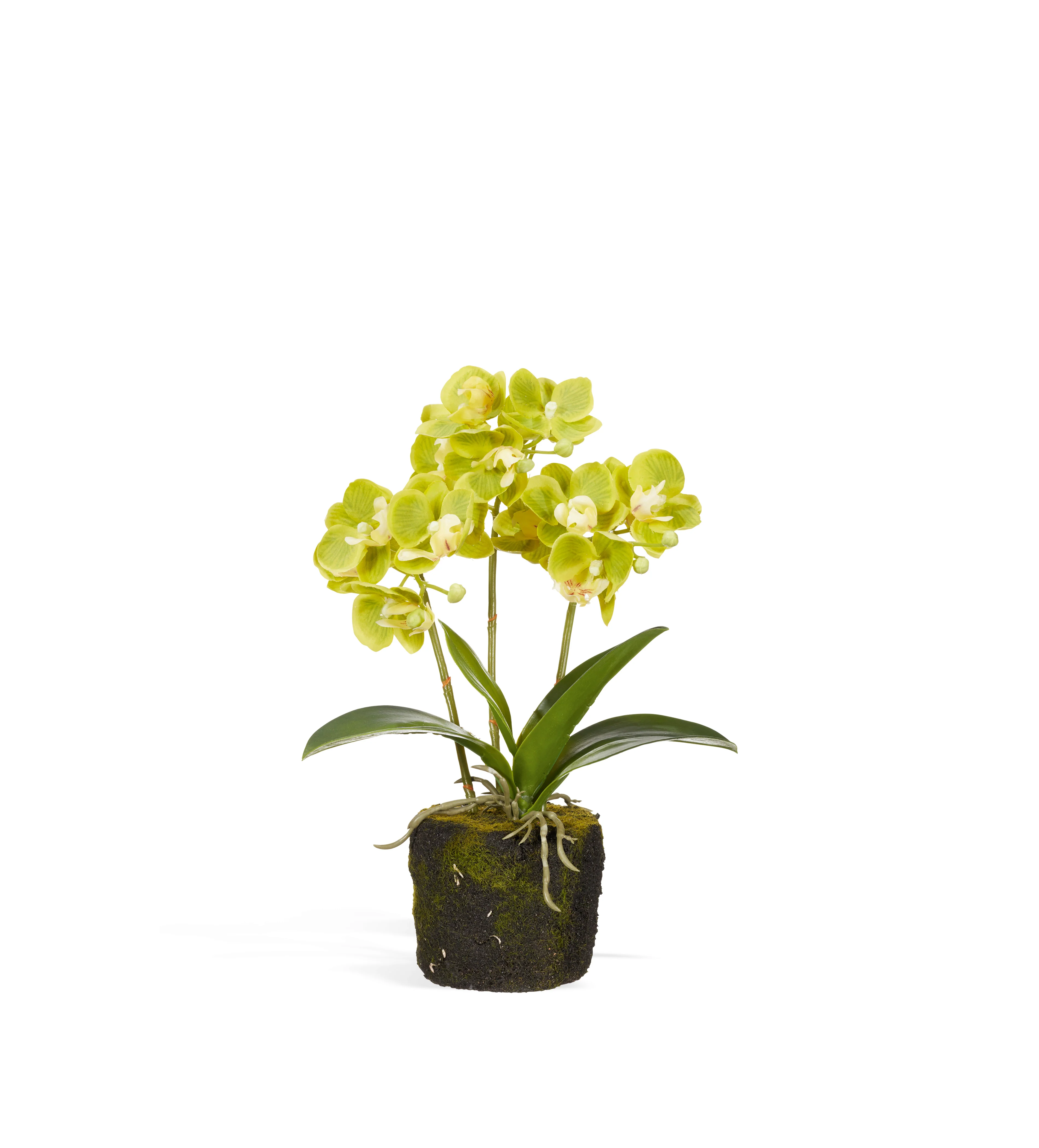 Faux Mini Orchid – Green