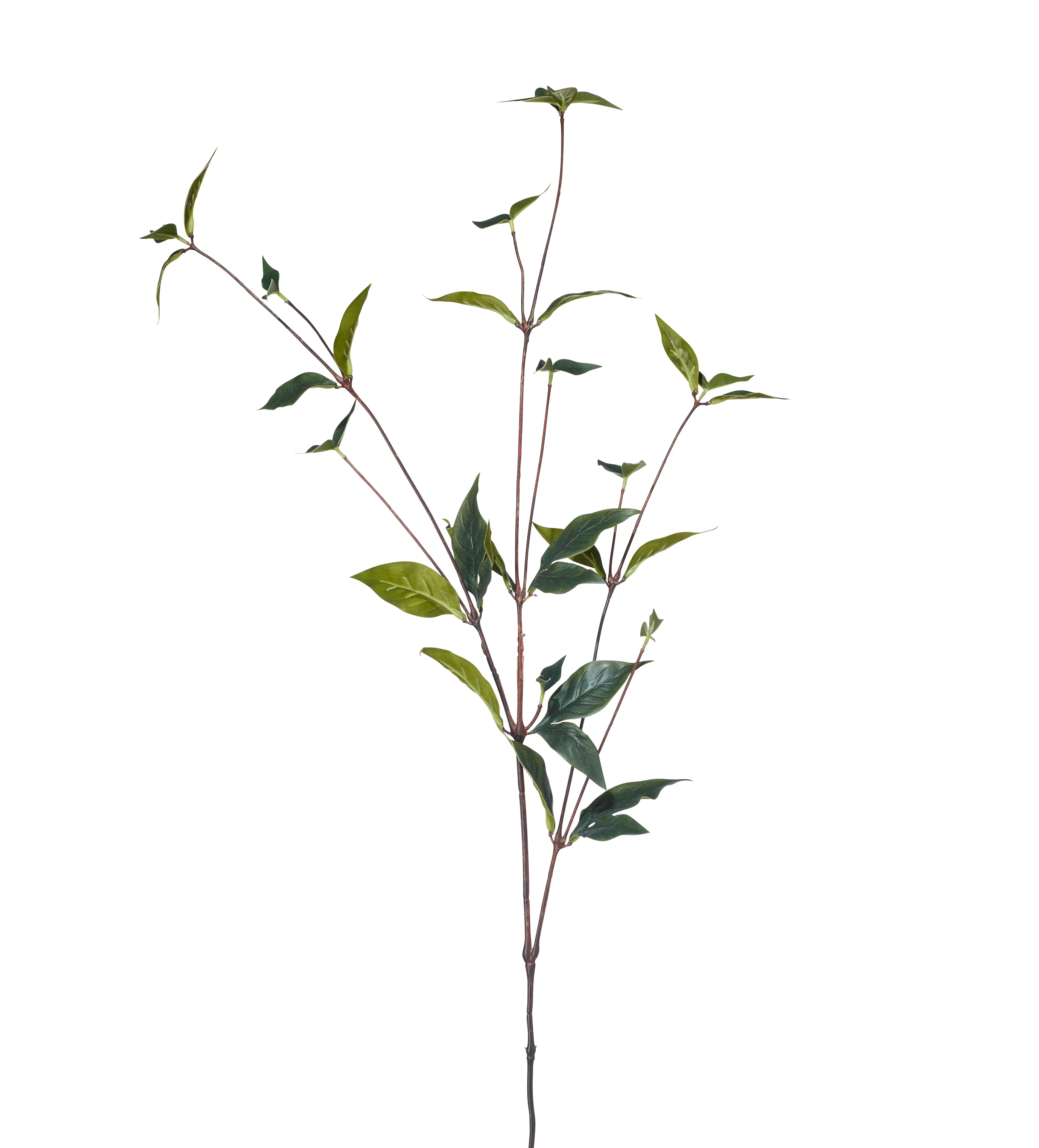 Faux Peony Leaves Stem – Green