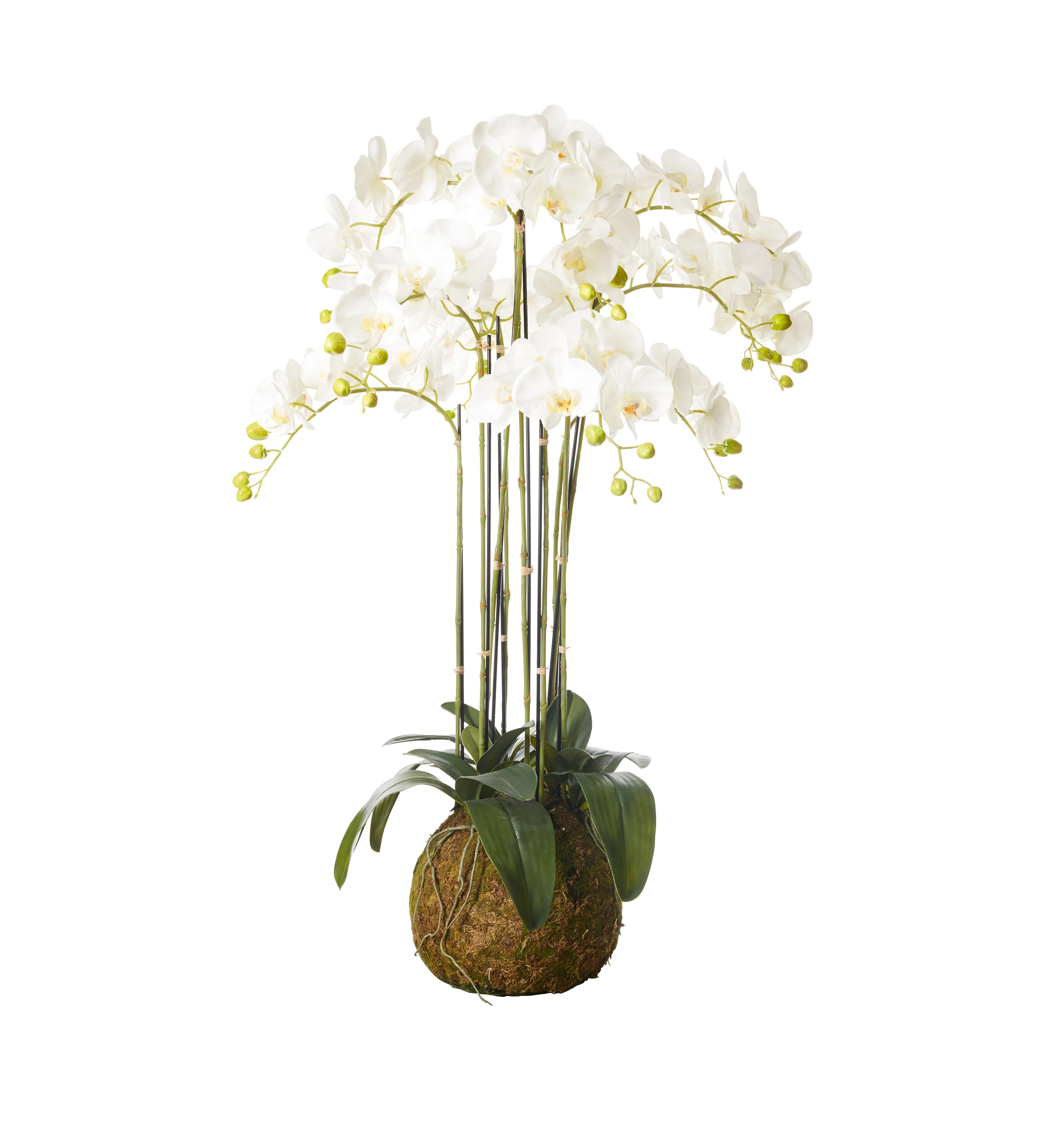 Faux Planted Phalaenopsis Orchid – Large – White