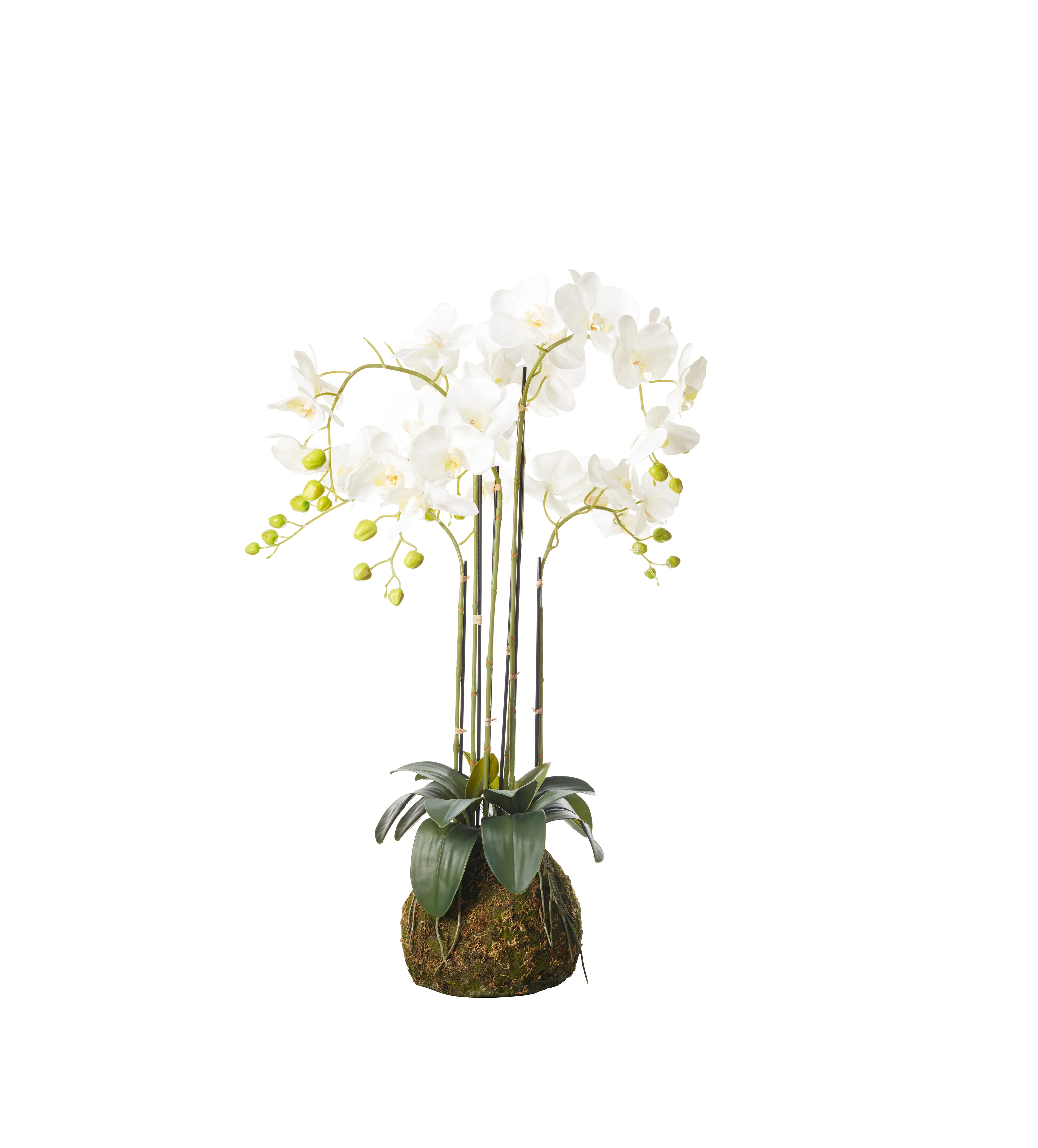 Faux Planted Phalaenopsis Orchid – Medium – White