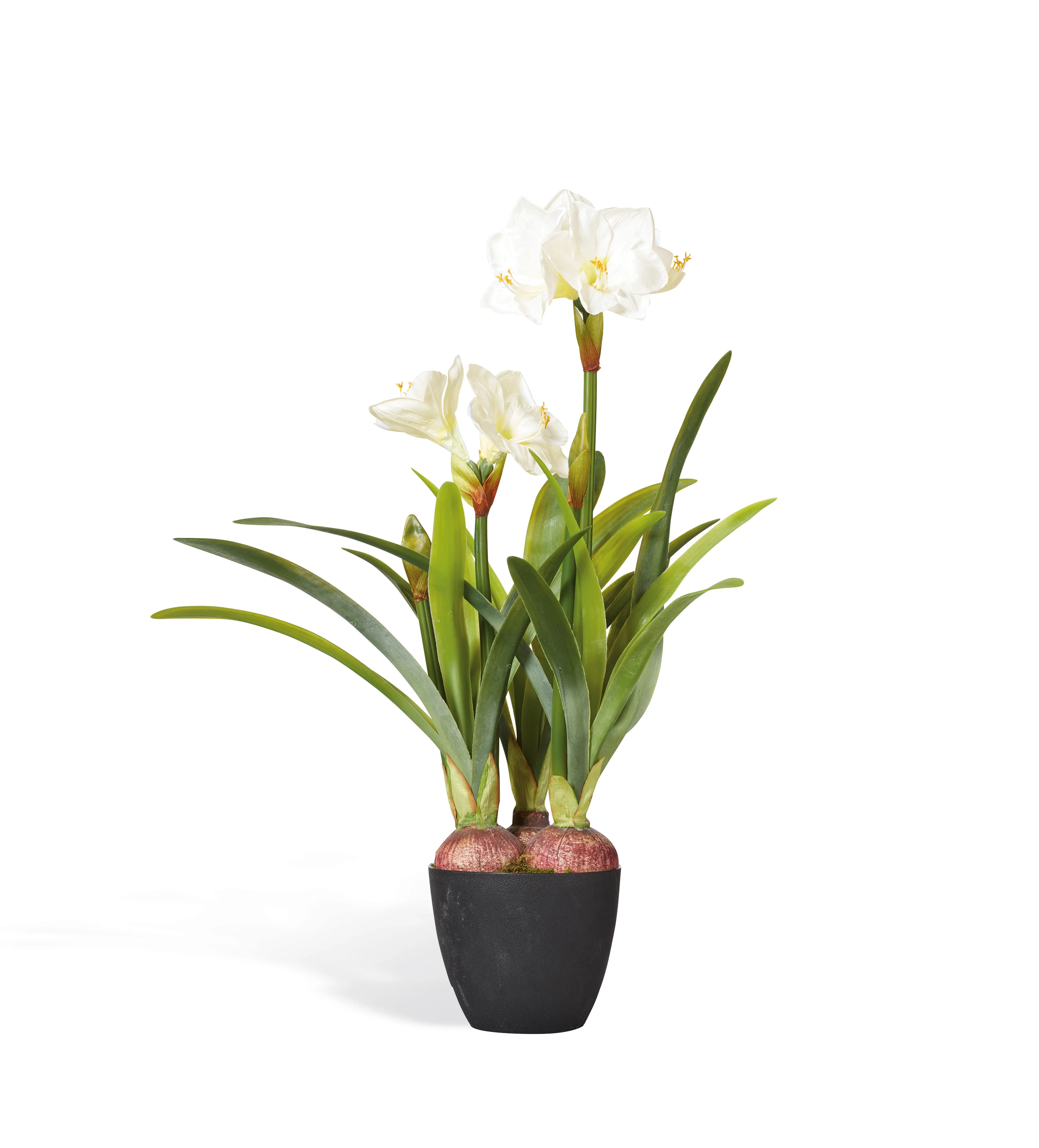 Faux Potted Amaryllis Plant – White