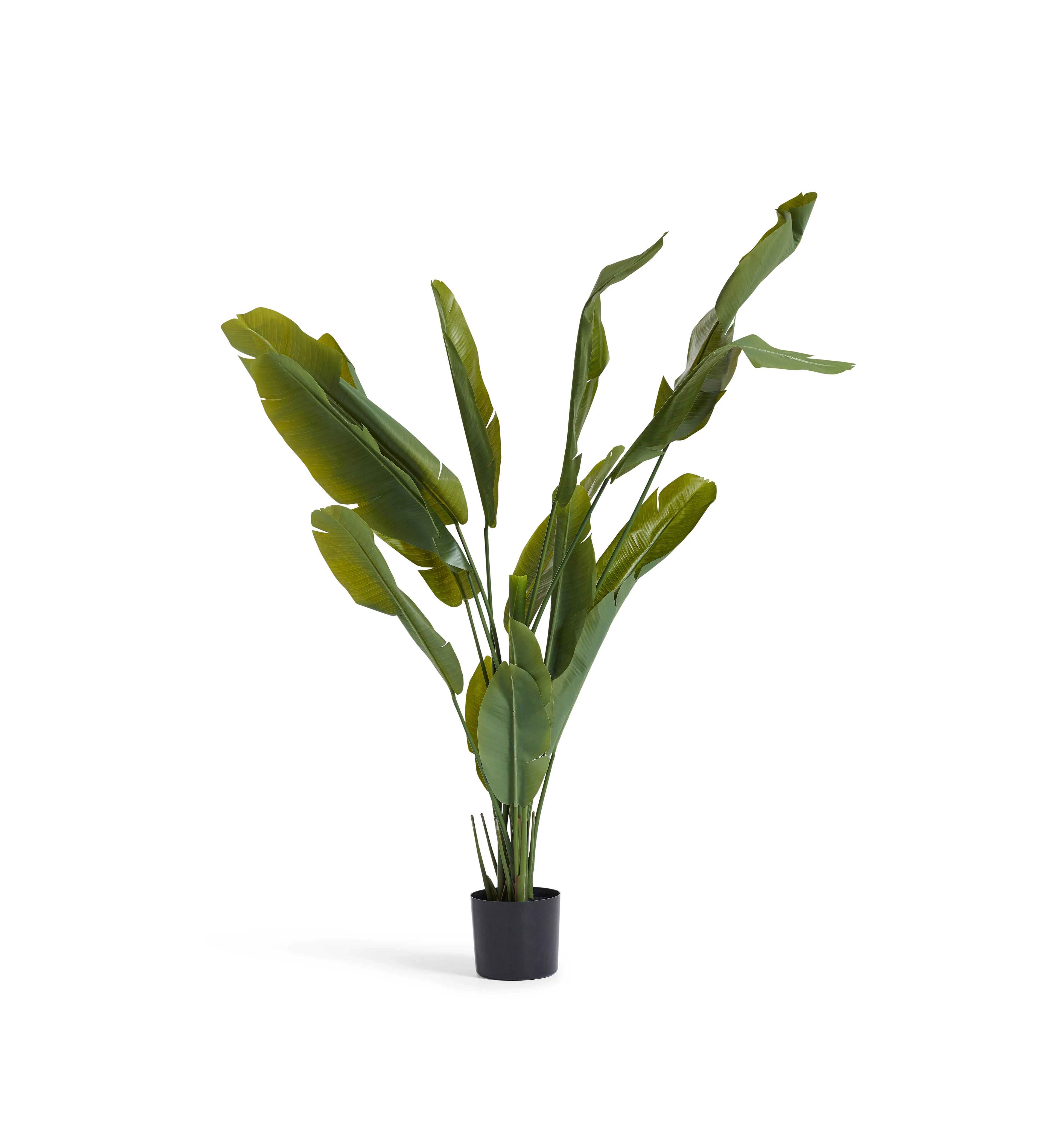 Faux Potted Bird of Paradise – Green