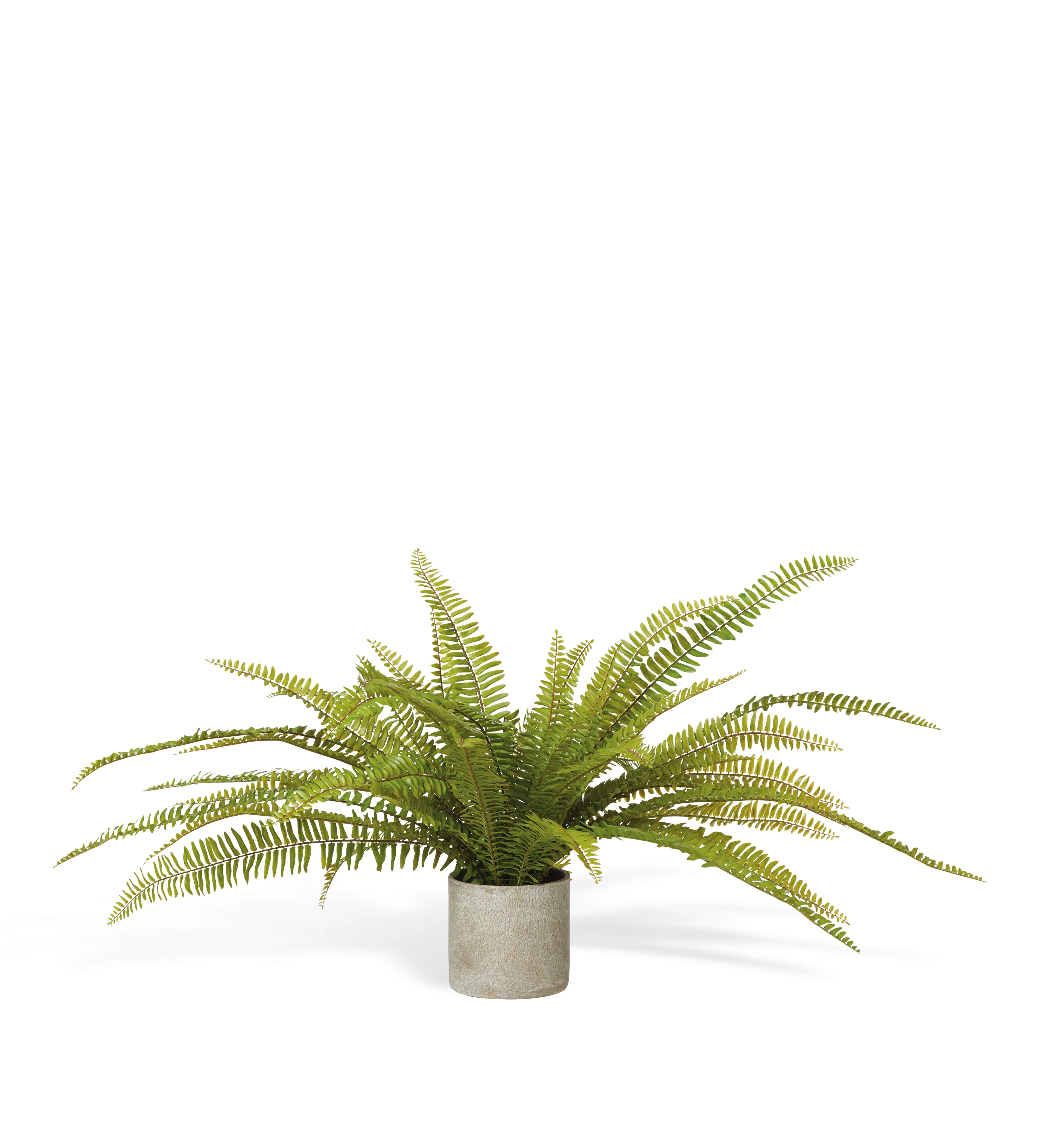 Faux Potted Fern Plant – Green
