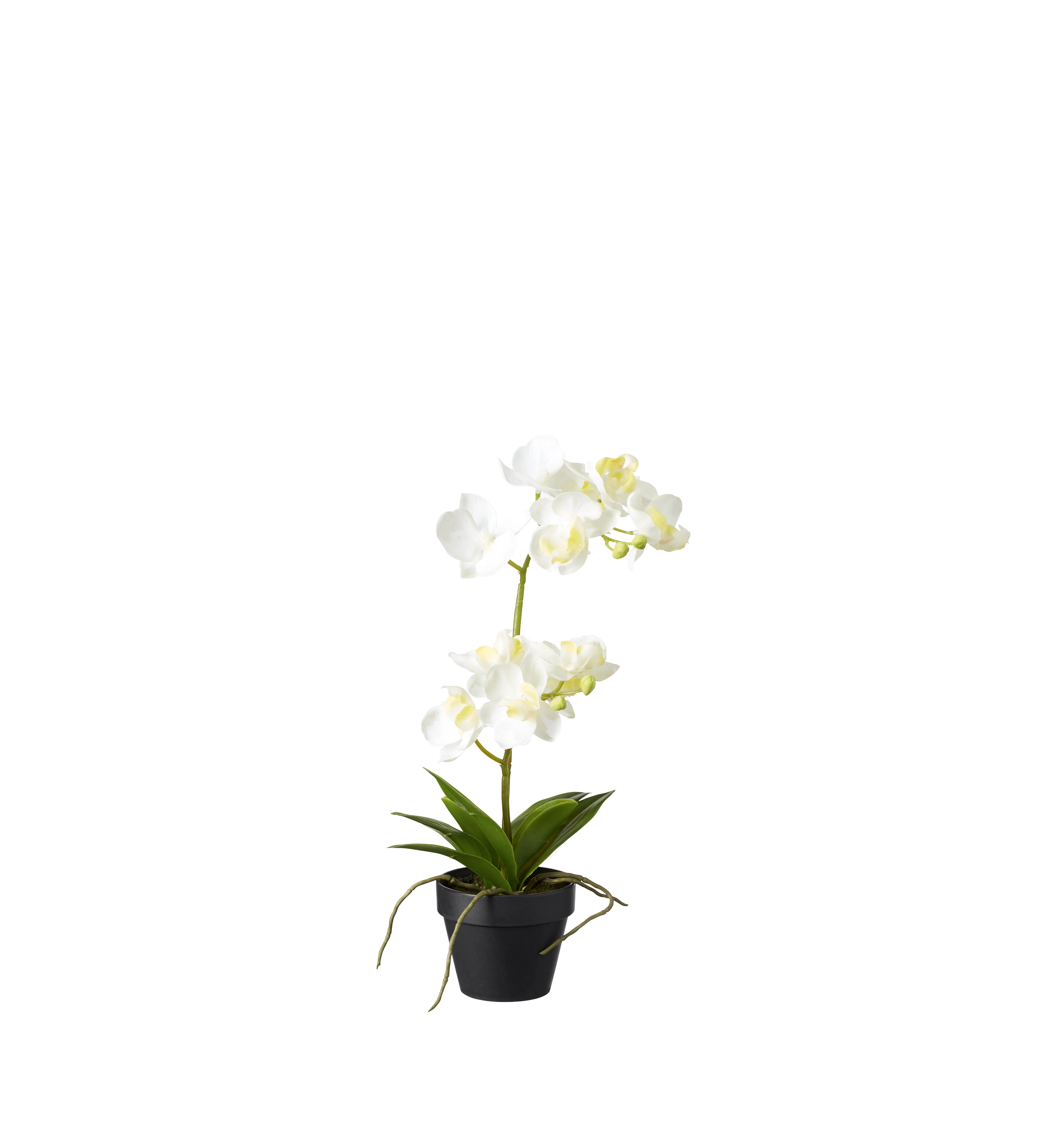 Faux Potted Mini Orchid – White