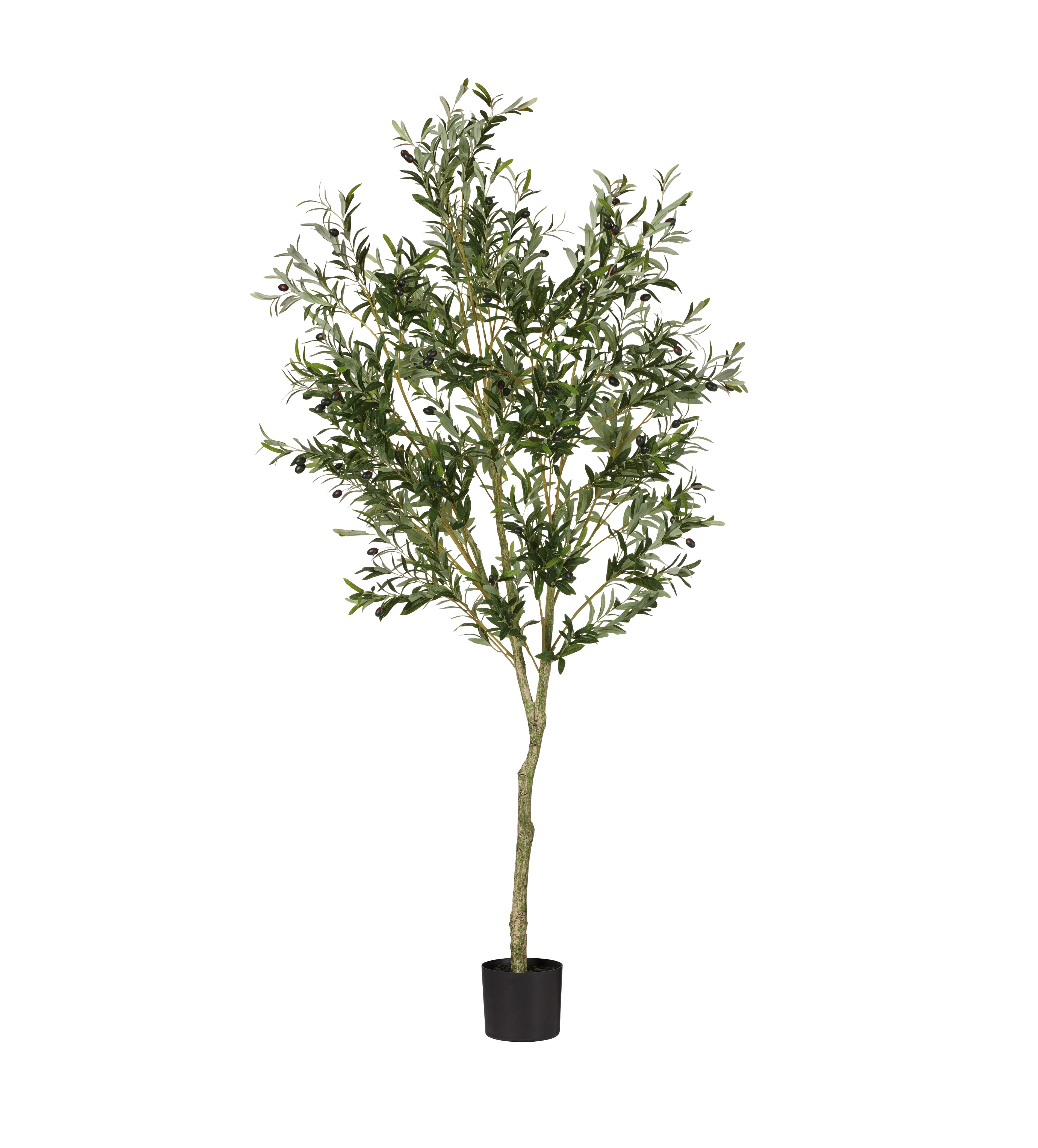 Faux Potted Olive Tree – Large – Black