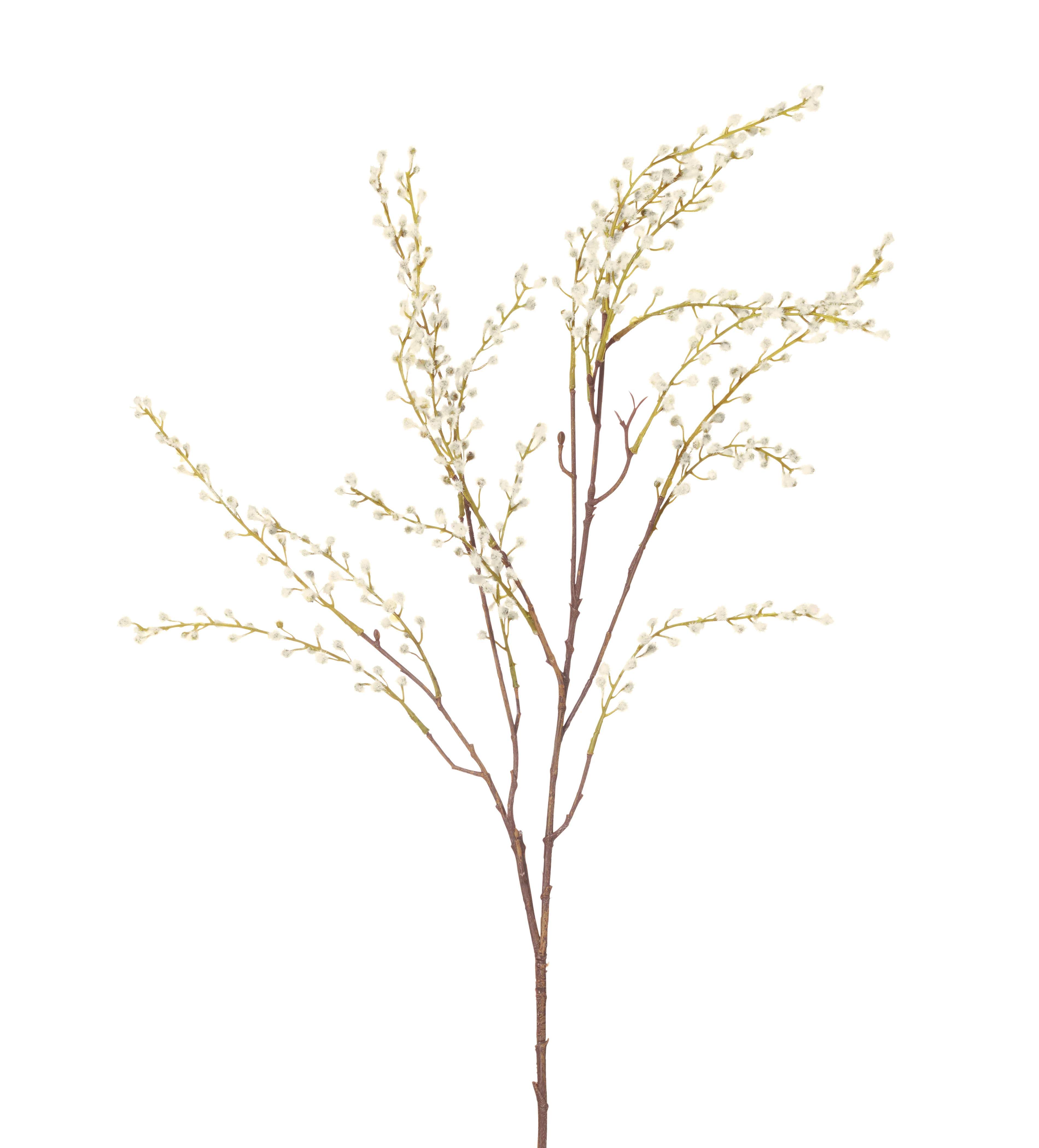 Faux Pussy Willow Branch – Off-White