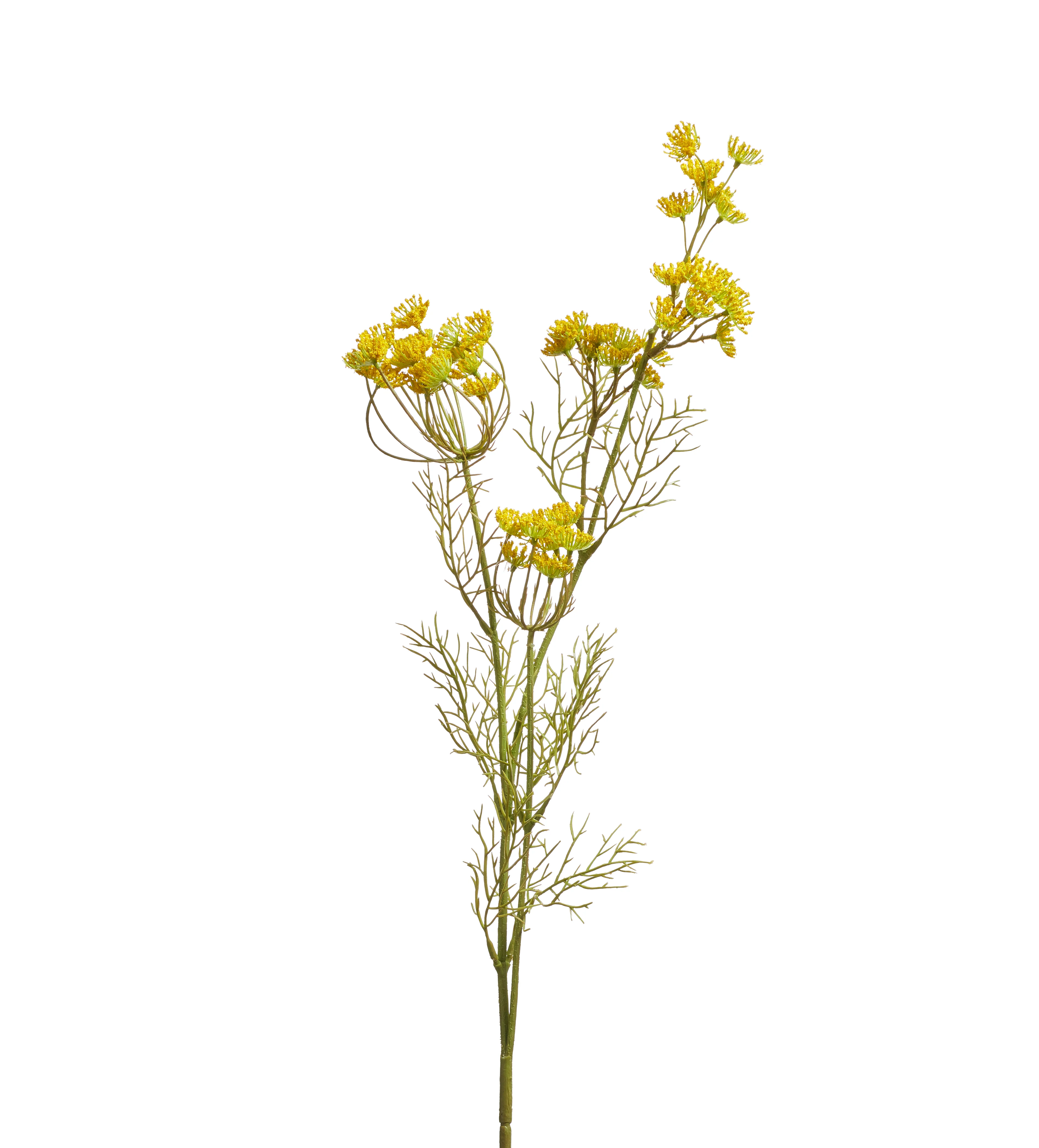 Faux Queen Anne’s Lace Stem – Yellow