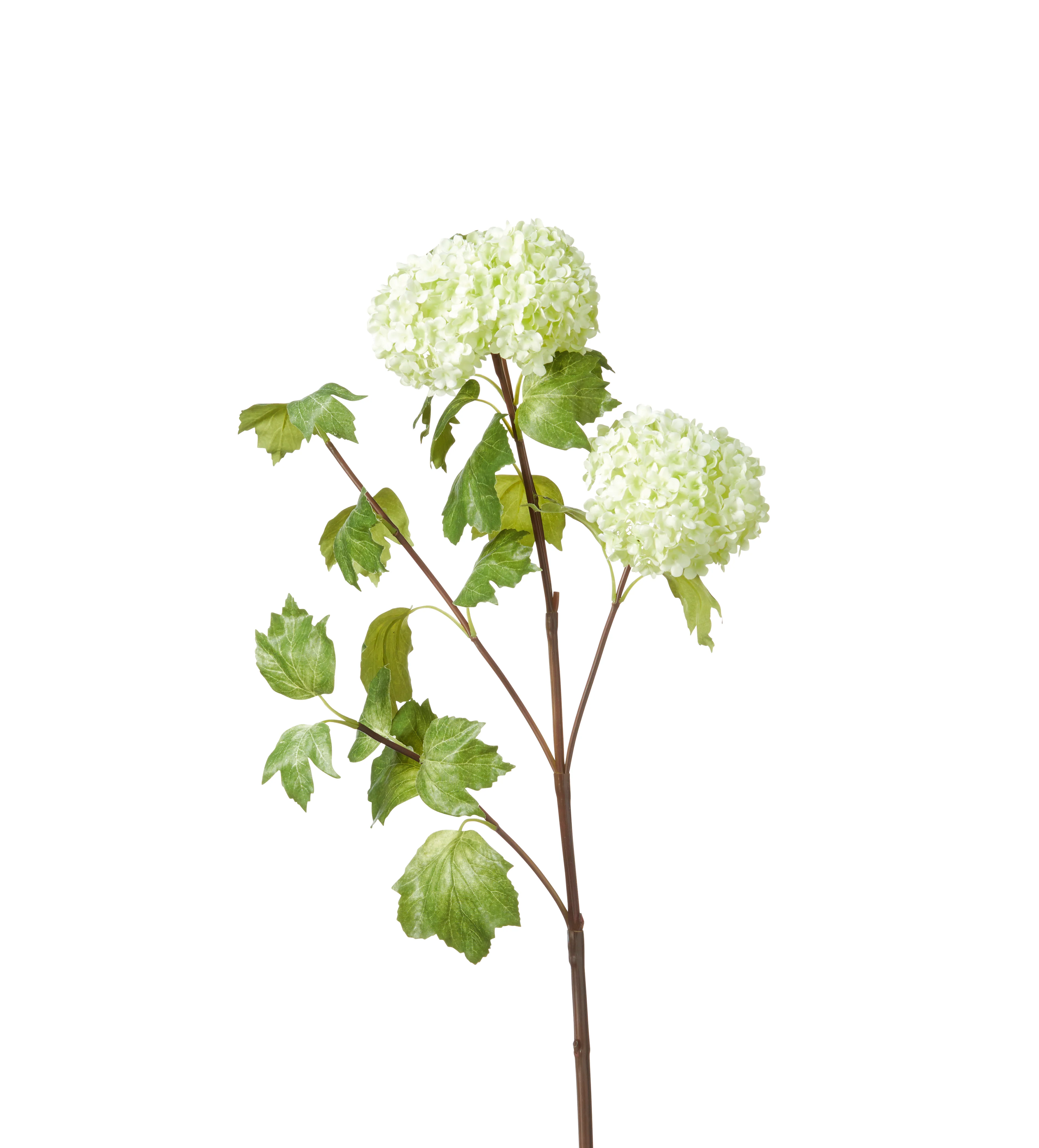 Faux Snowball Viburnum Branch – Green