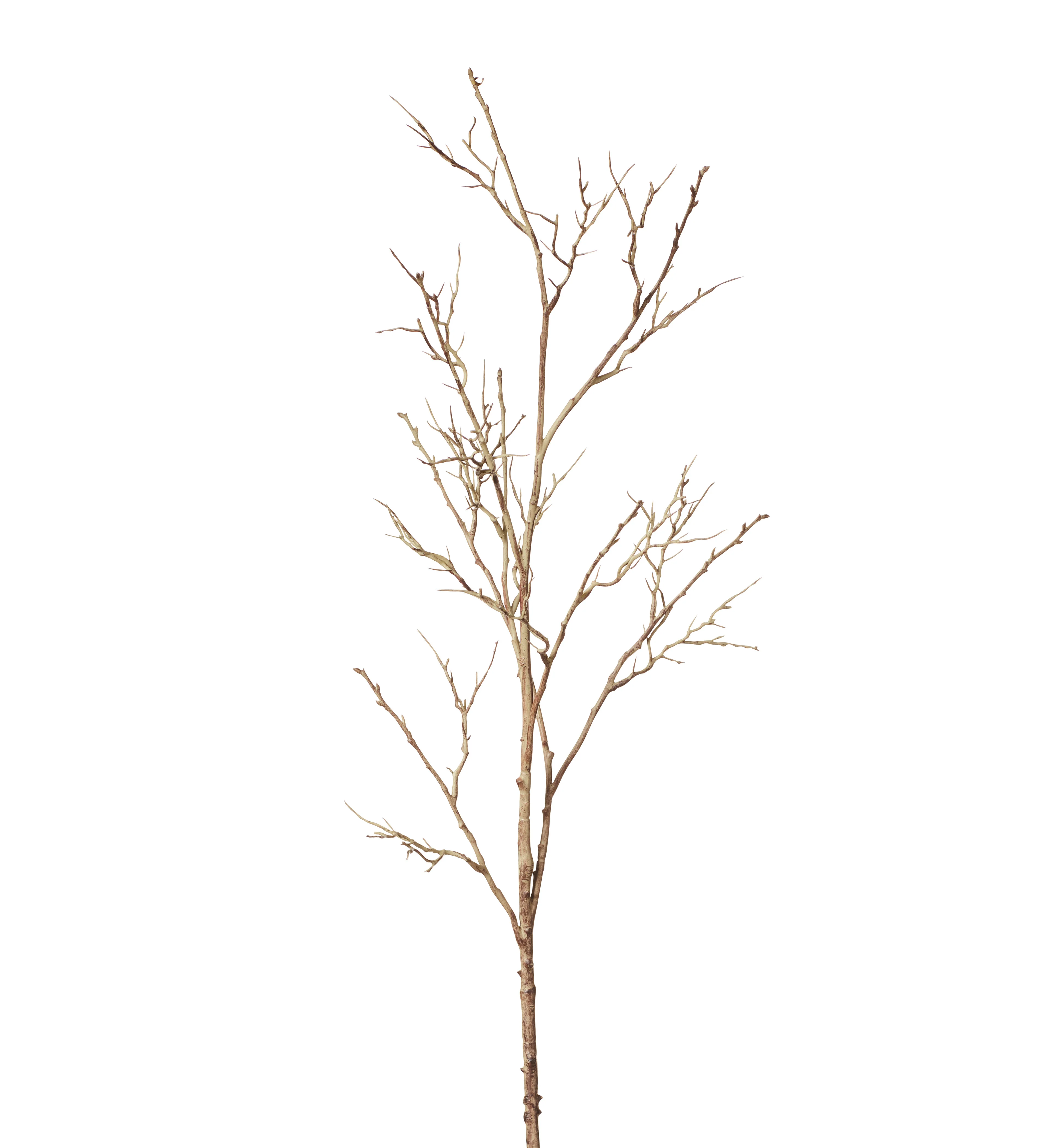 Faux Spiky Twig Branch – Natural