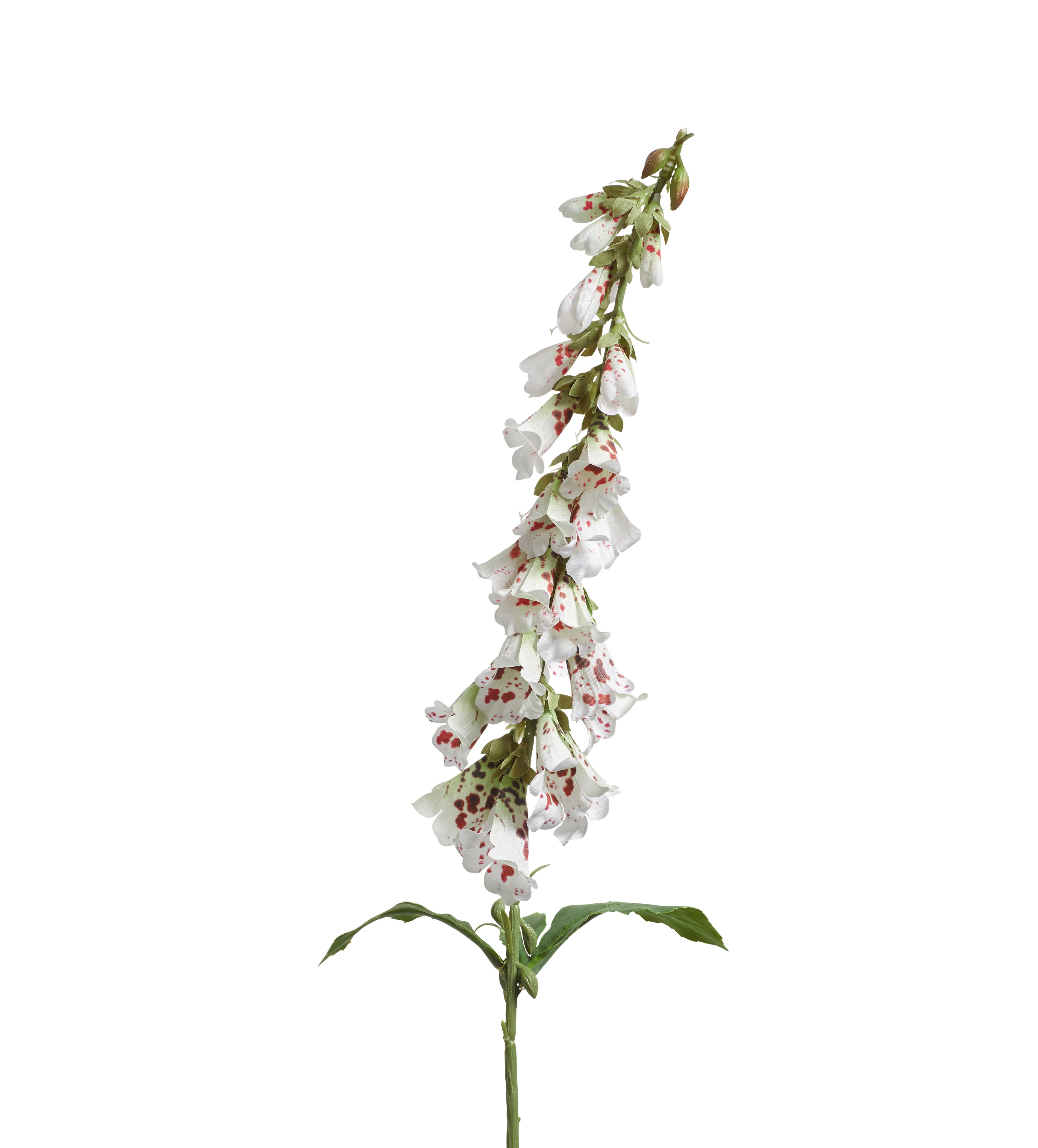 Faux Foxglove Stem – Cream